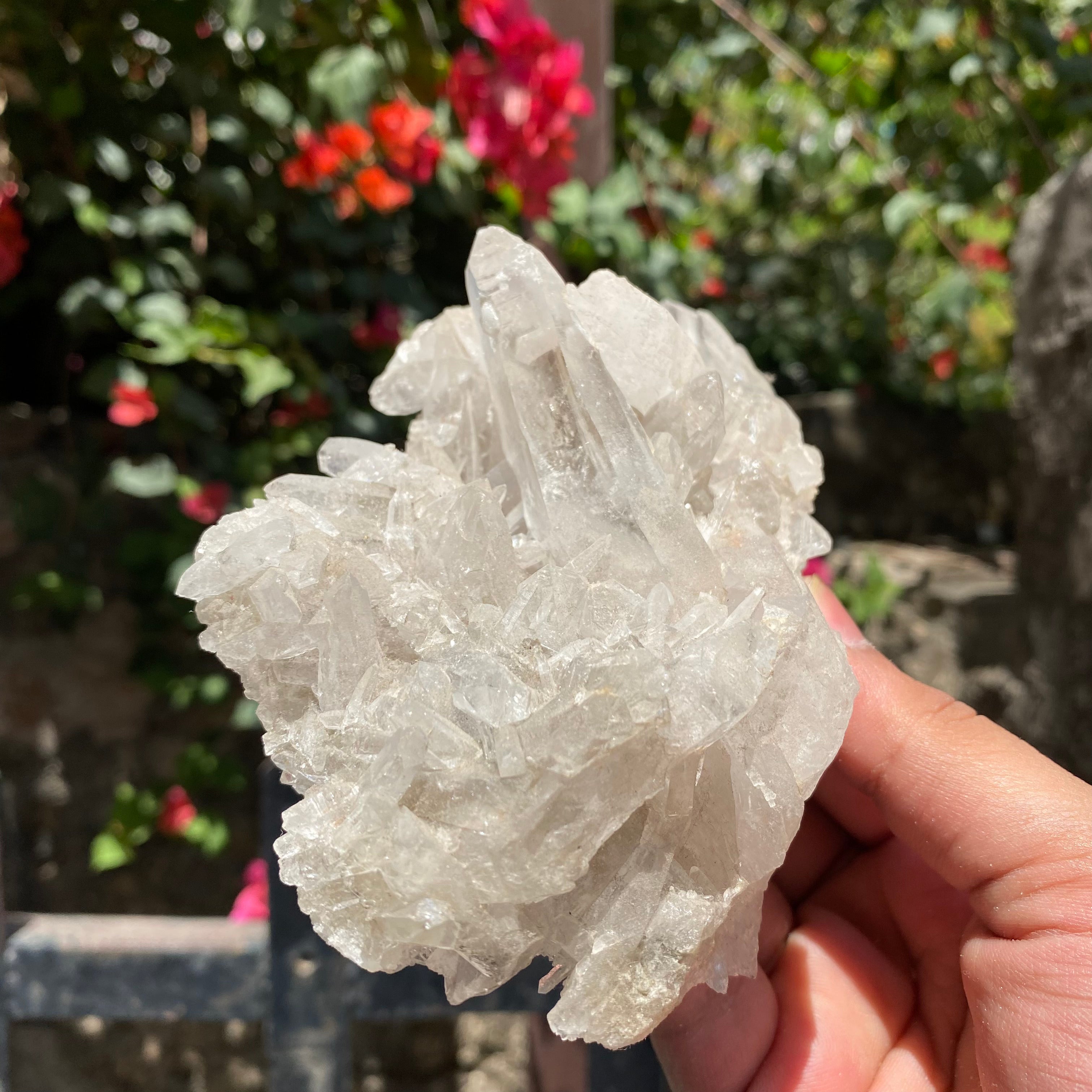 Natural Himalayan White Quartz Crystal Cluster Bright Healing Energy Display Specimen