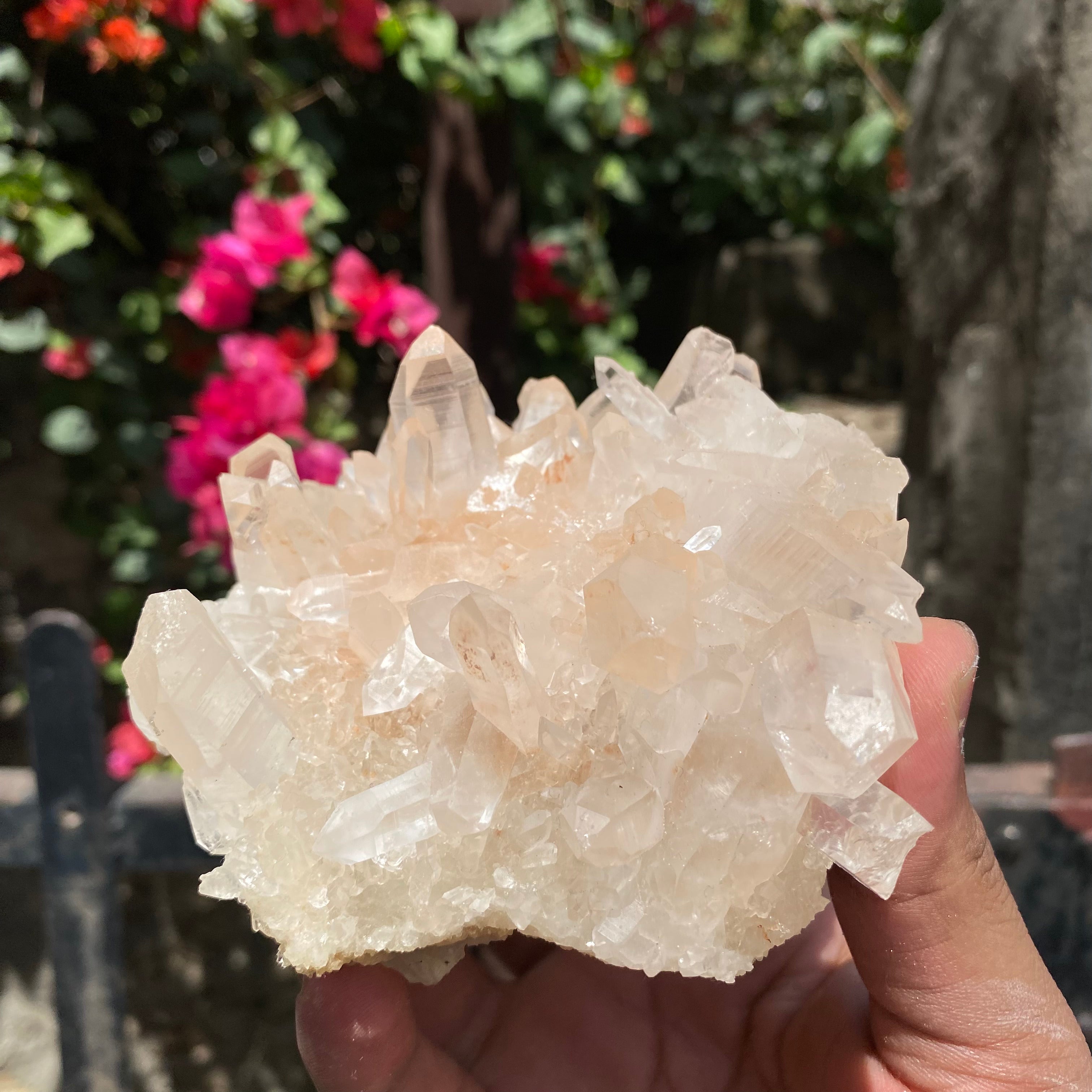 Natural Himalayan Pink Quartz Crystal Cluster Healing Energy Display Specimen