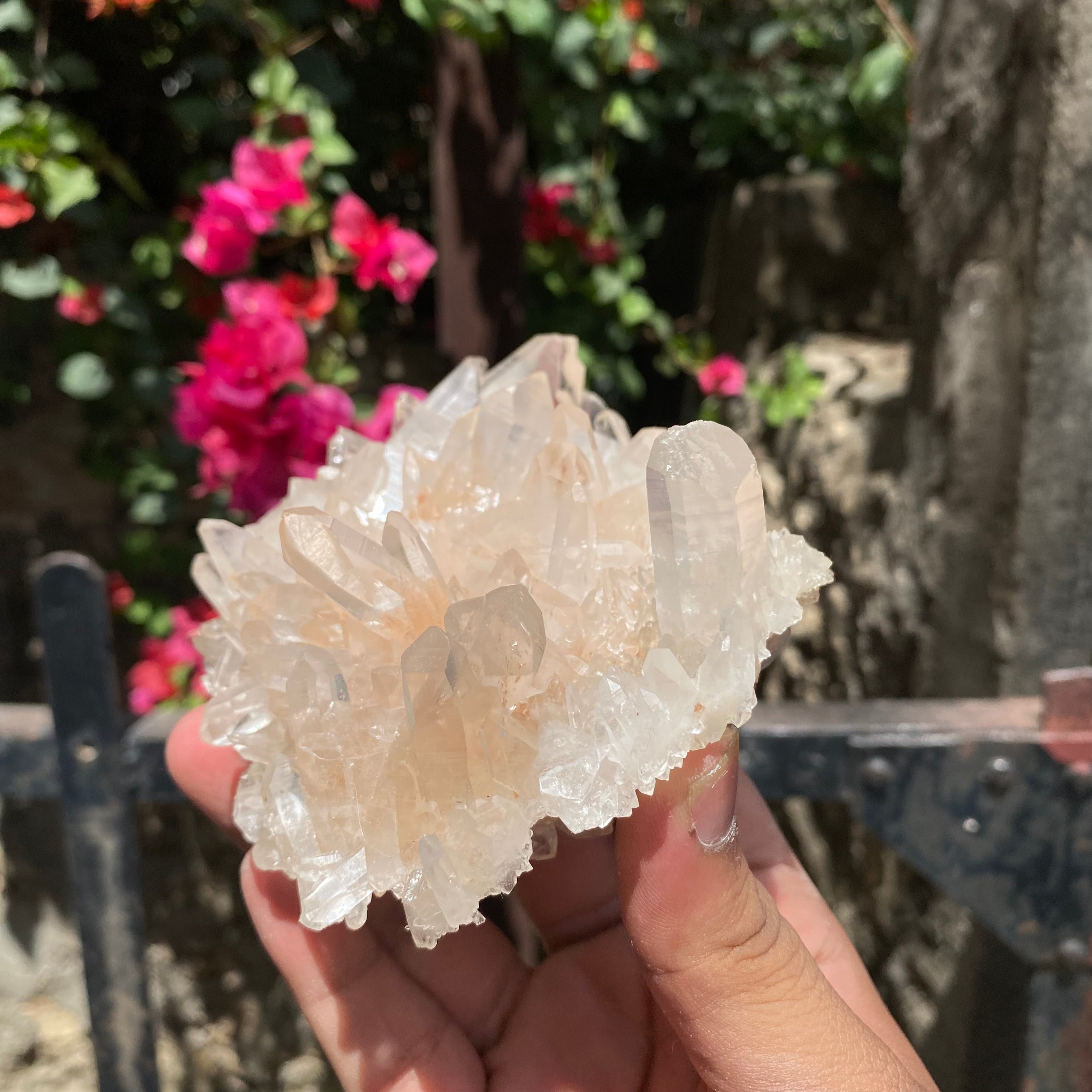 Natural Himalayan Pink Quartz Crystal Cluster Healing Crystal Energy Display Specimen for Meditation Home Décor Chakra Healing and Crystal Collection