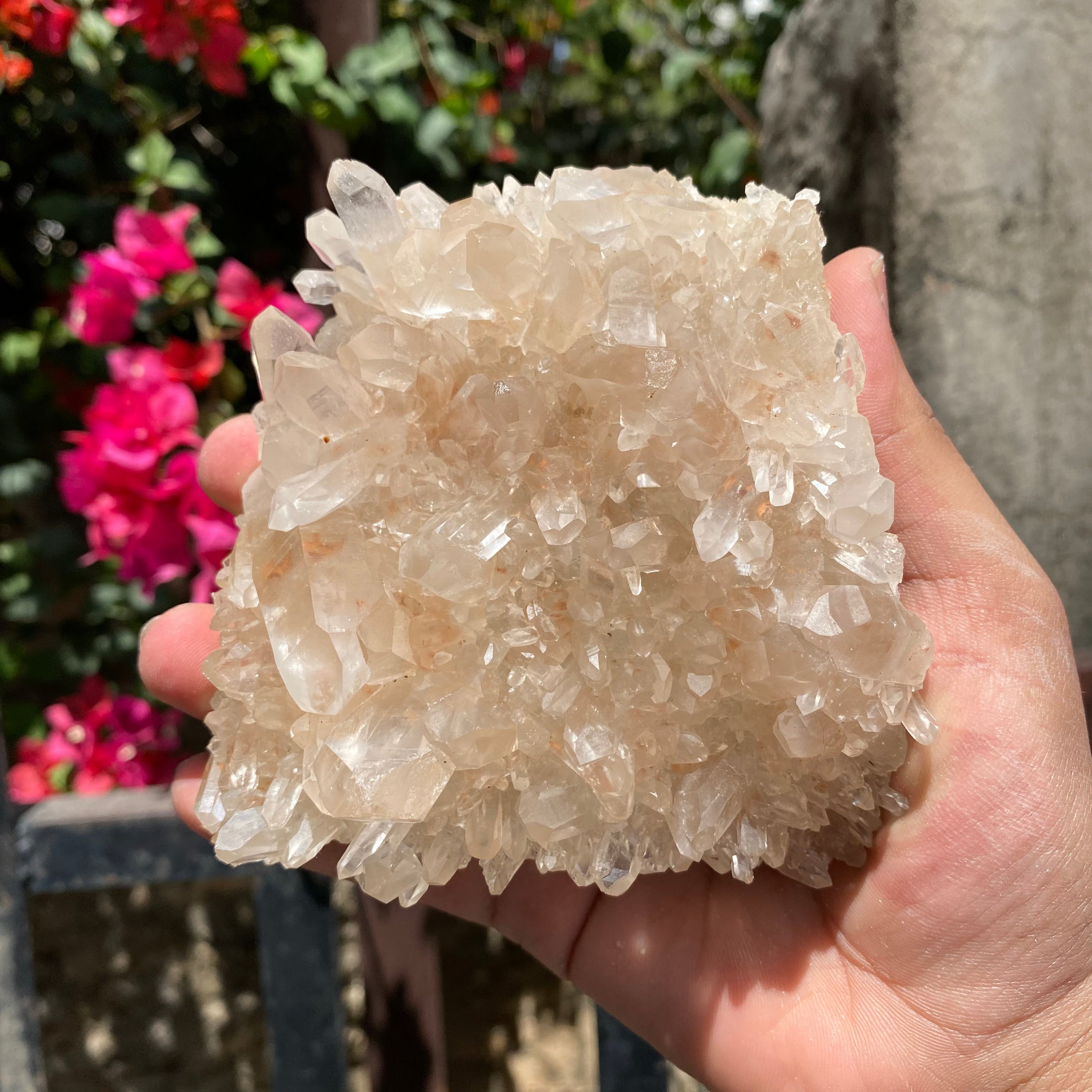 Natural Himalayan Pink Quartz Crystal Cluster Raw Healing Energy Stone for Meditation Home Décor & Collection