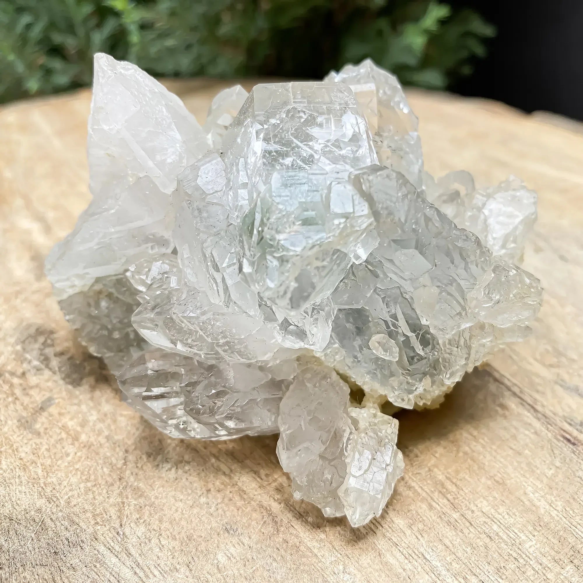 Natural Green Chlorite Quartz Cluster 355g Himalayan Quartz