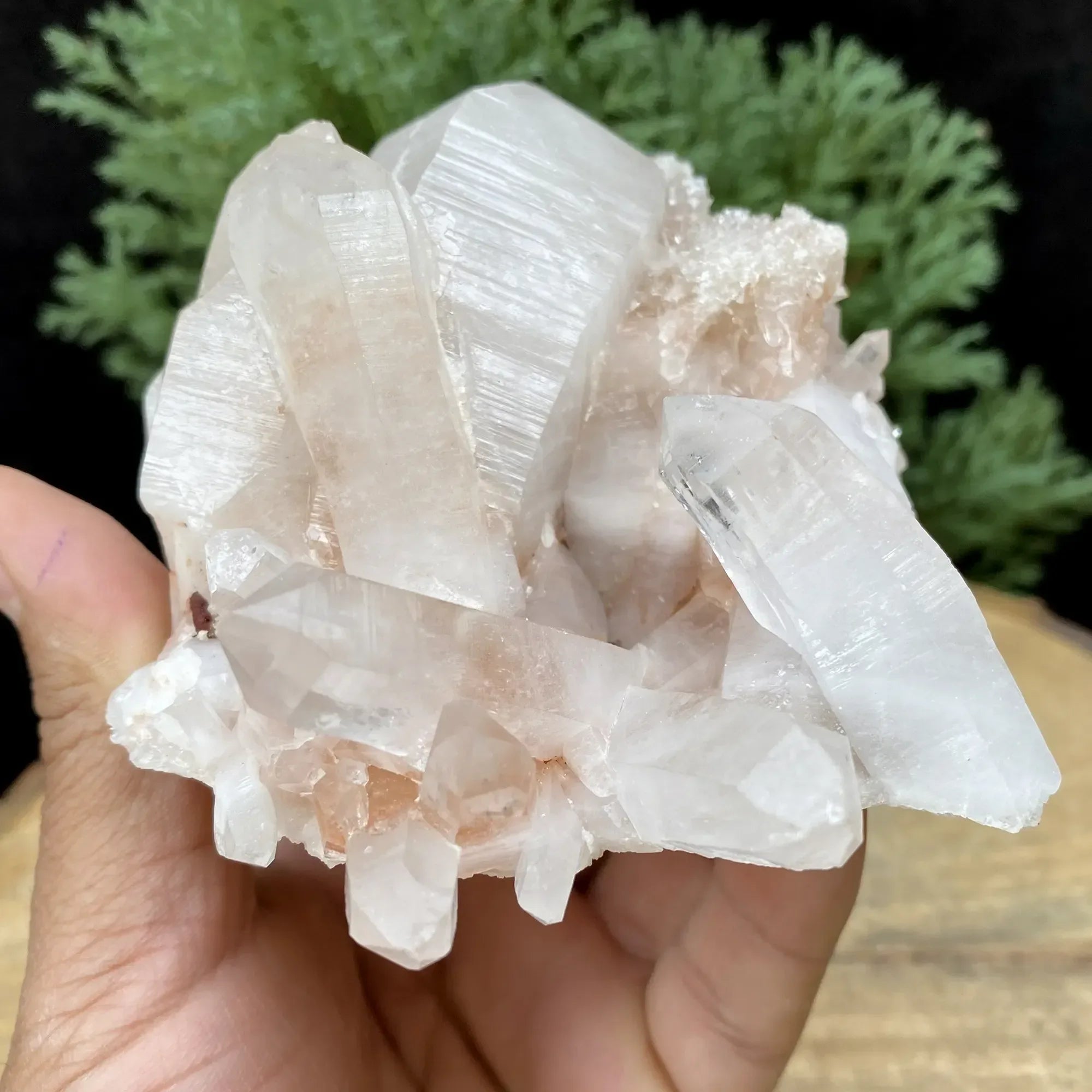 Natural Himalayan Pink Quartz Cluster 500g Himalayan Quartz