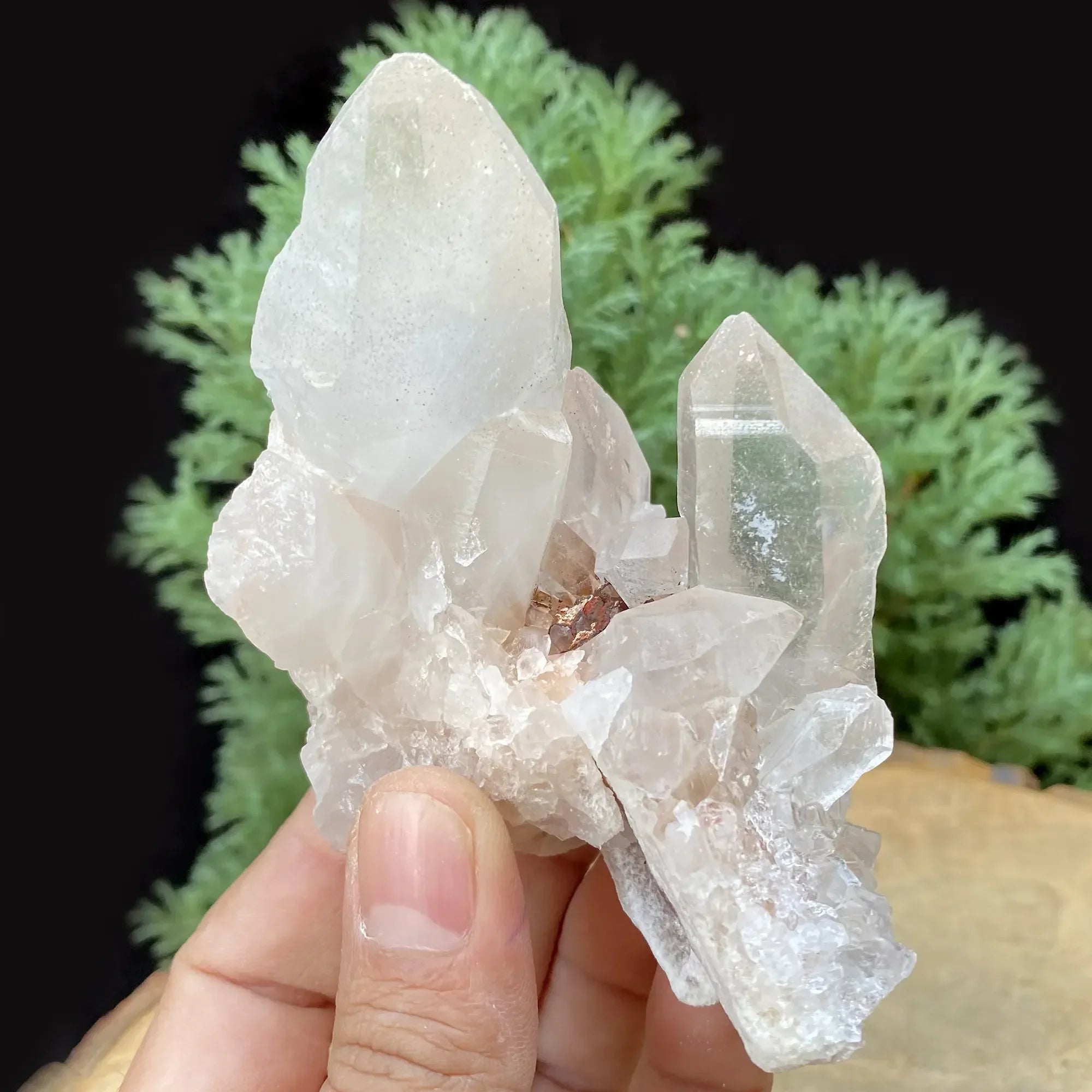Natural Himalayan White Quartz Cluster 290g Himalayan Quartz