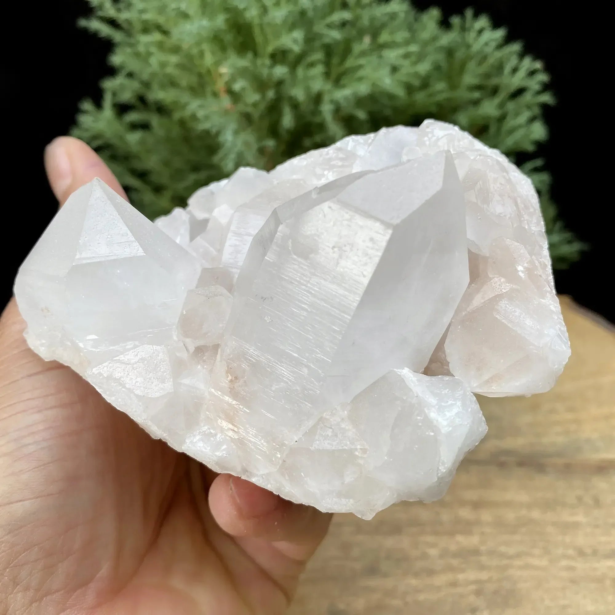 Natural Himalayan White Quartz Cluster 385g Himalayan Quartz