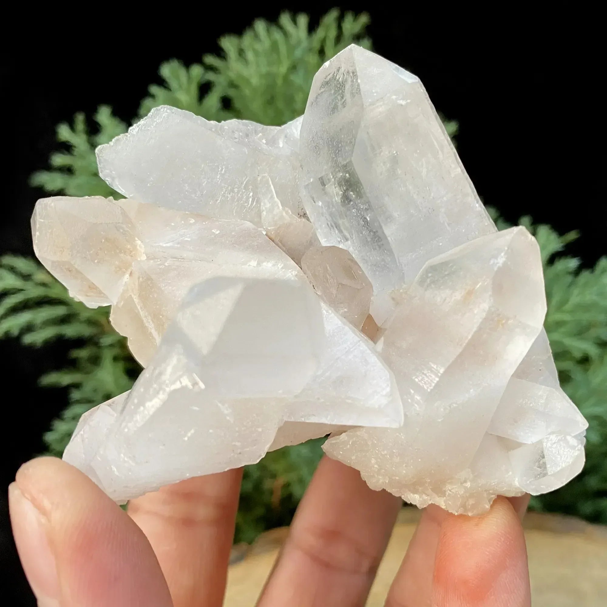 Natural Himalayan Pink Quartz Cluster 295g Himalayan Quartz