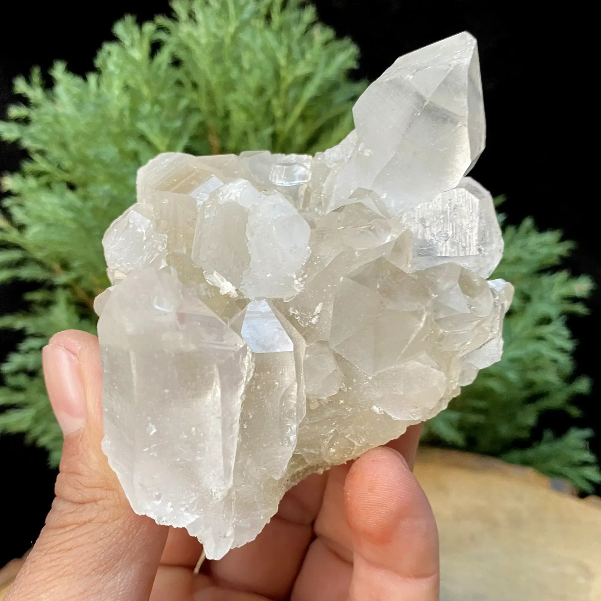 Natural Himalayan White Quartz Cluster 235g Himalayan Quartz