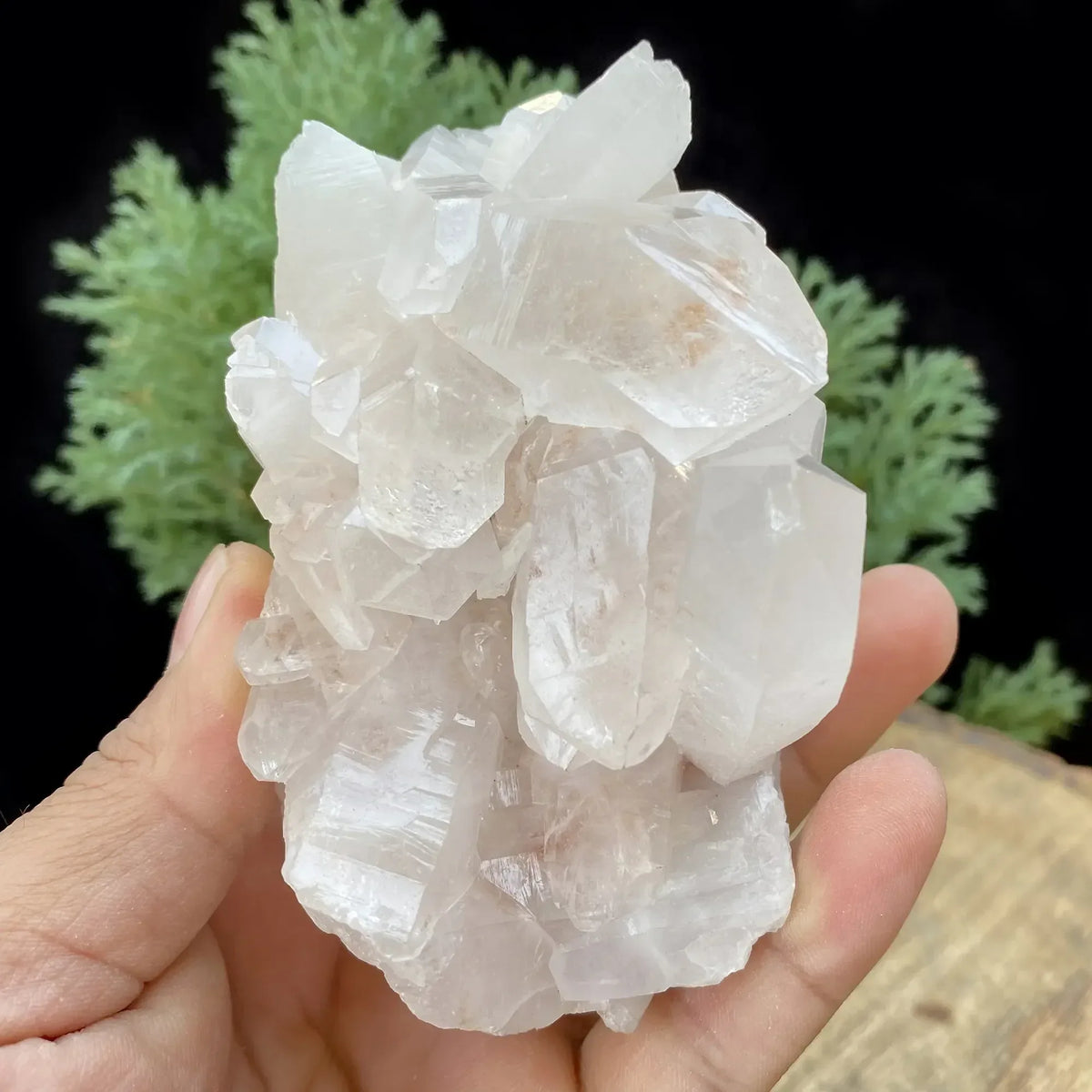 Natural Himalayan Pink Quartz Cluster 520g Himalayan Quartz