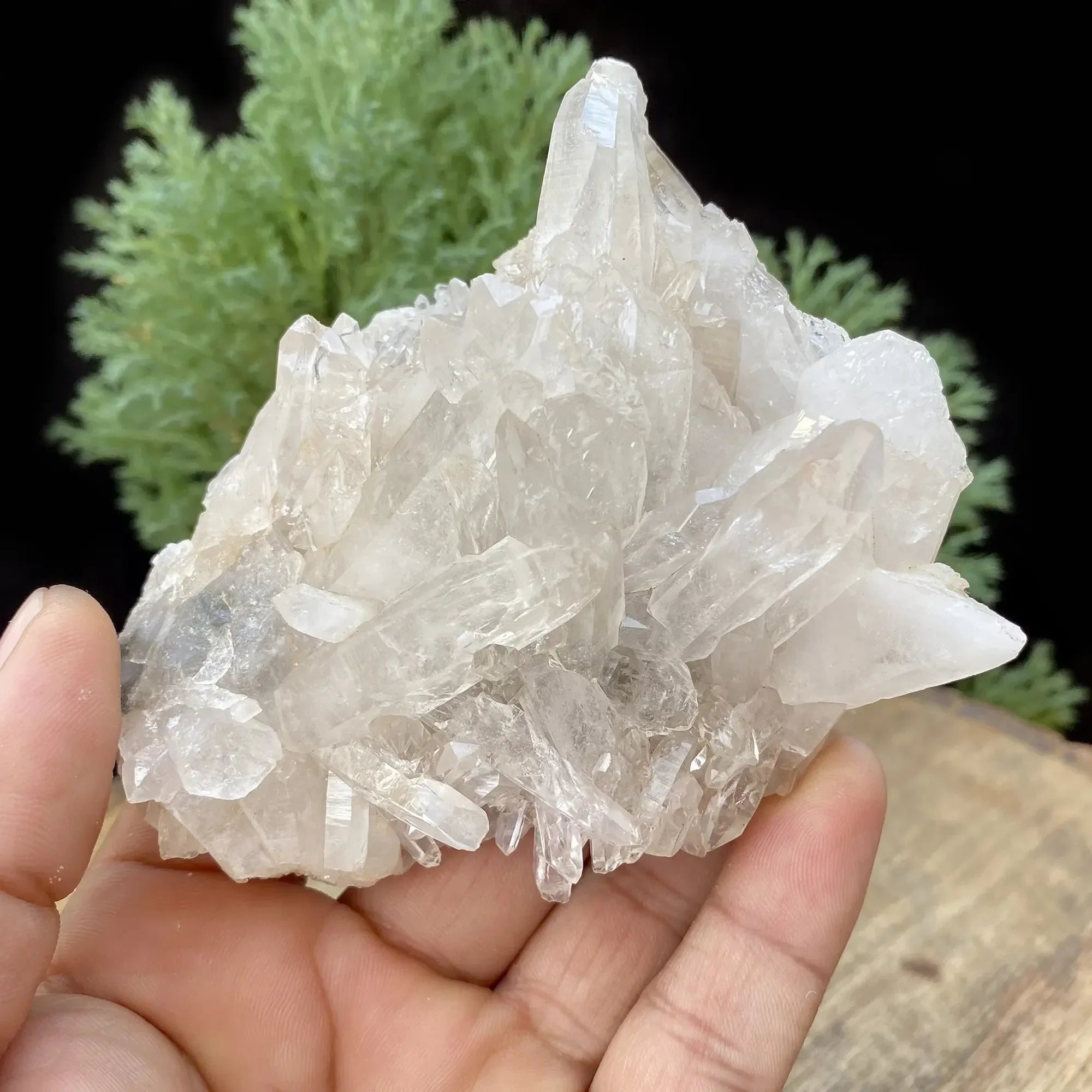 Natural Himalayan White Quartz Cluster 275g Himalayan Quartz