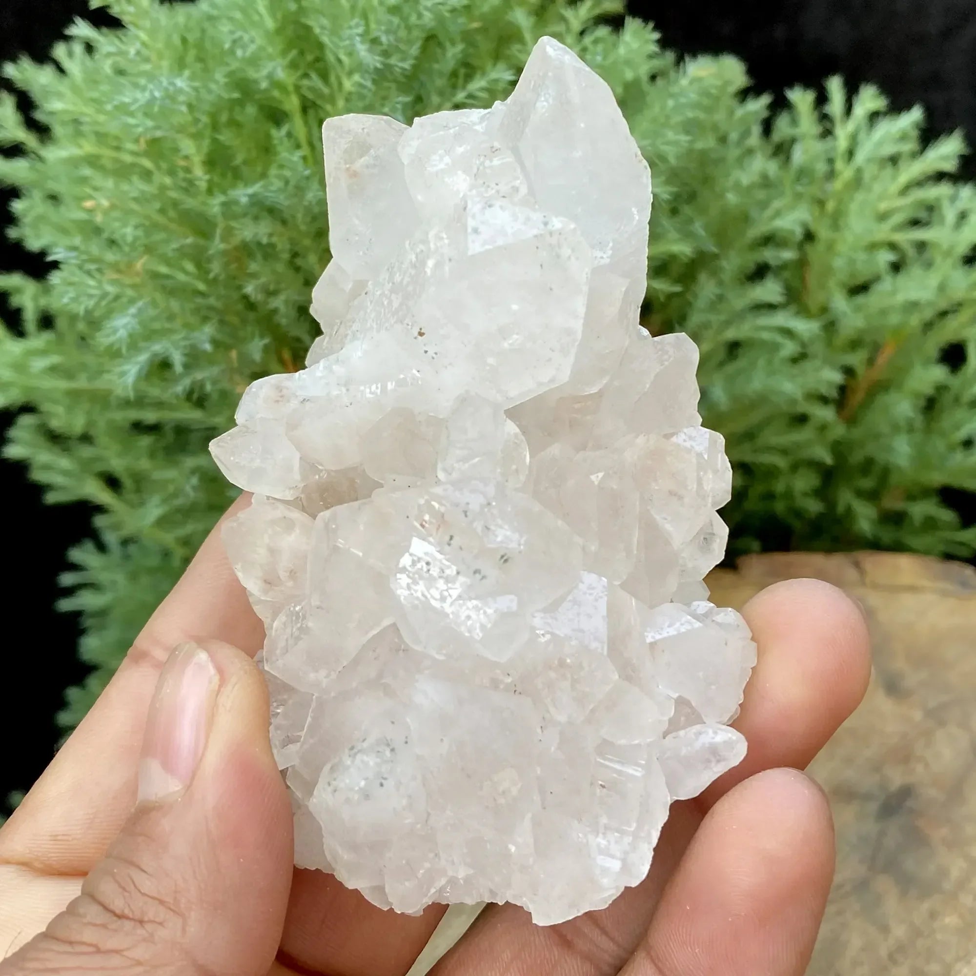 Natural Himalayan White Quartz Cluster 160g Himalayan Quartz