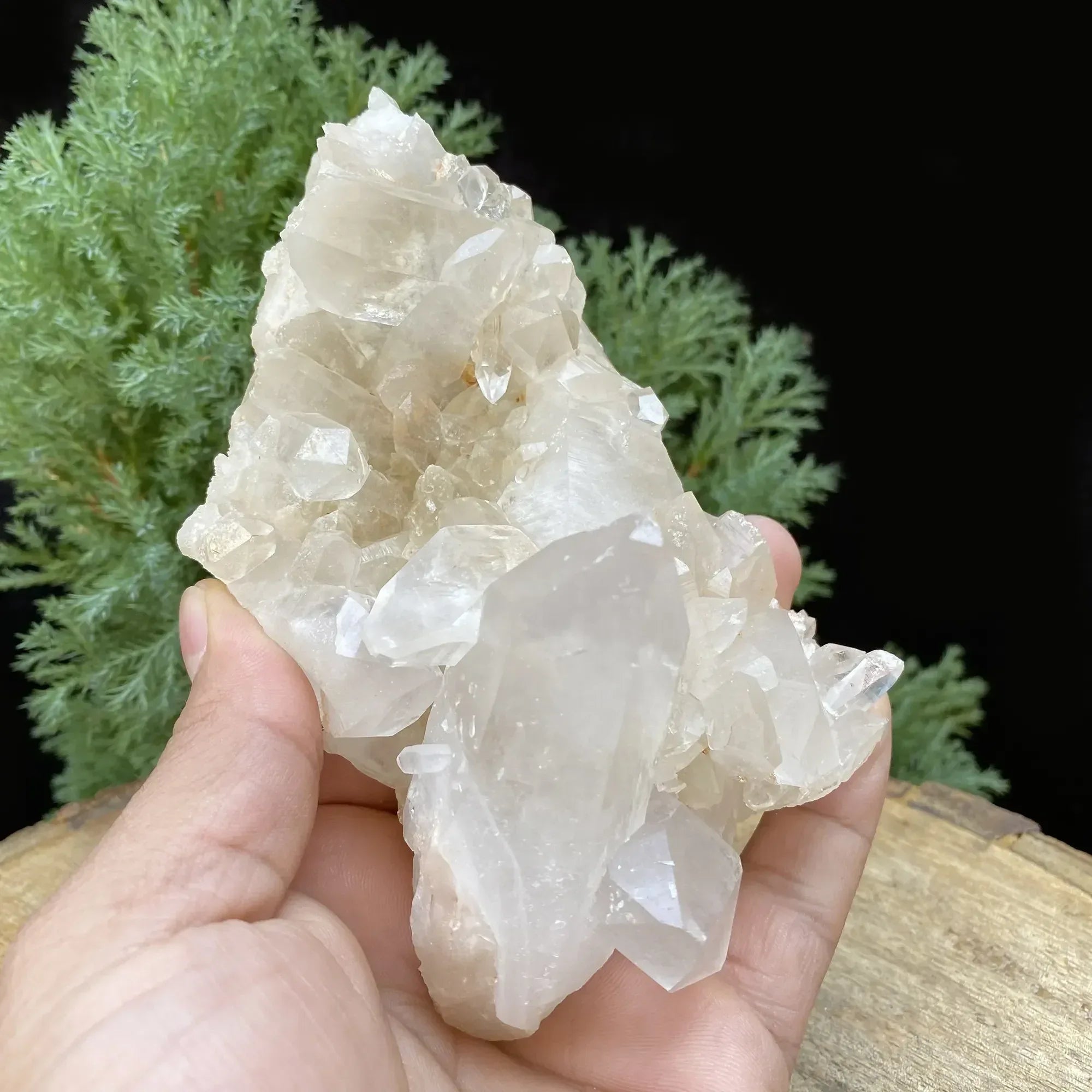 Natural Himalayan White & Yellow Quartz Cluster 410g Himalayan Quartz