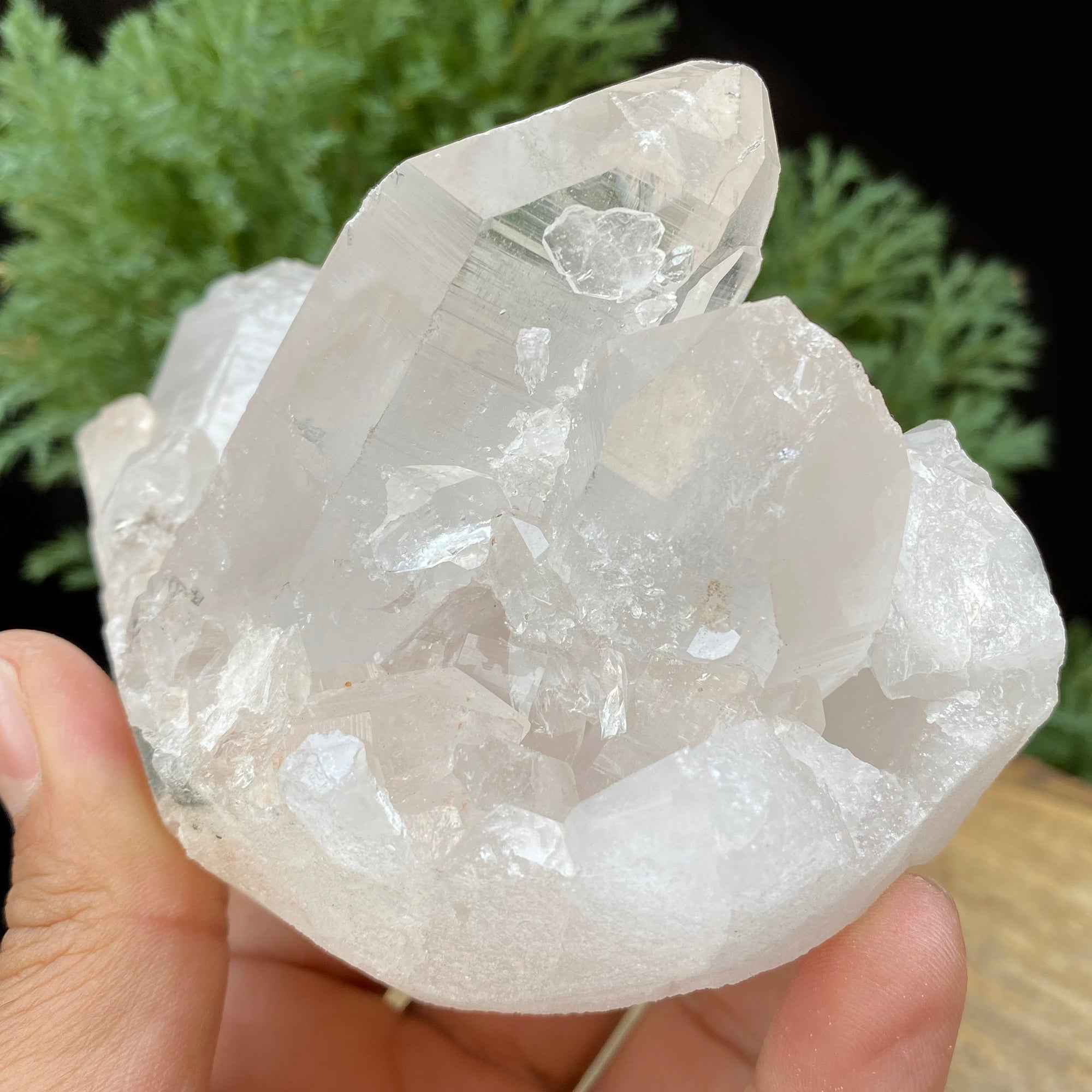 Natural Himalayan White Quartz Cluster 630g