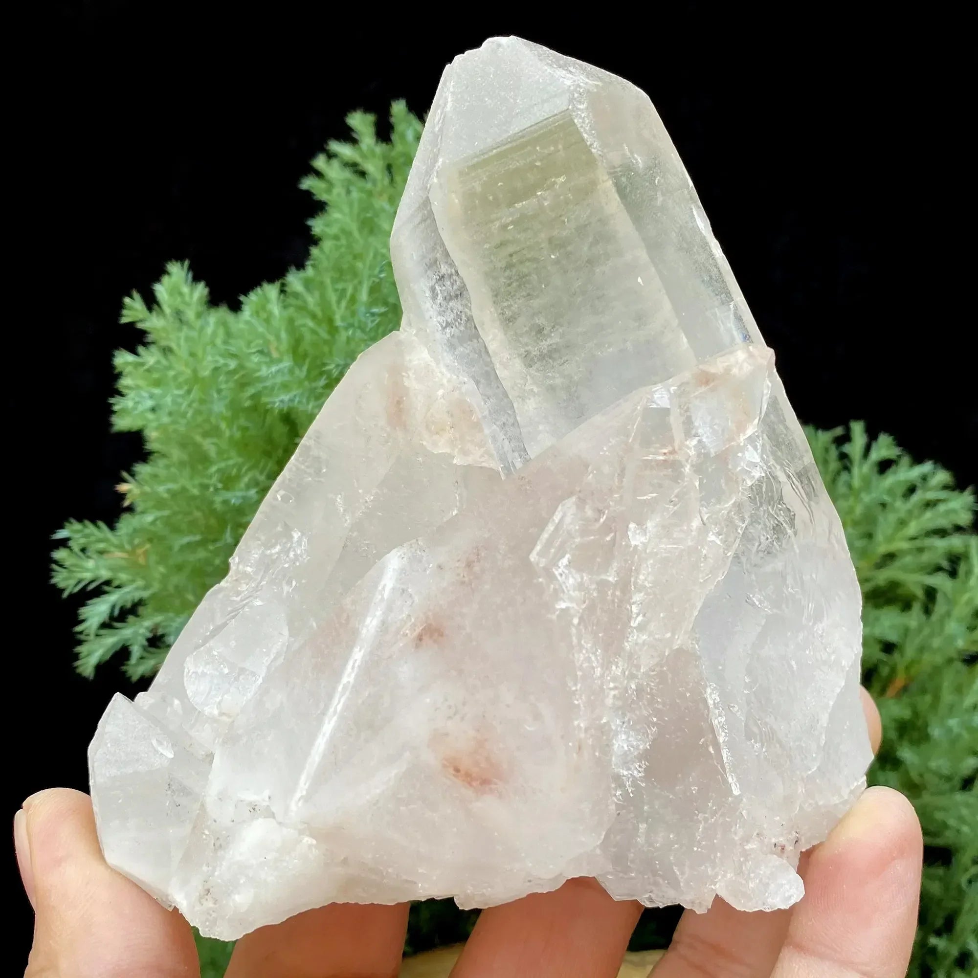 Natural Himalayan White & Pink Quartz Cluster 755g Himalayan Quartz