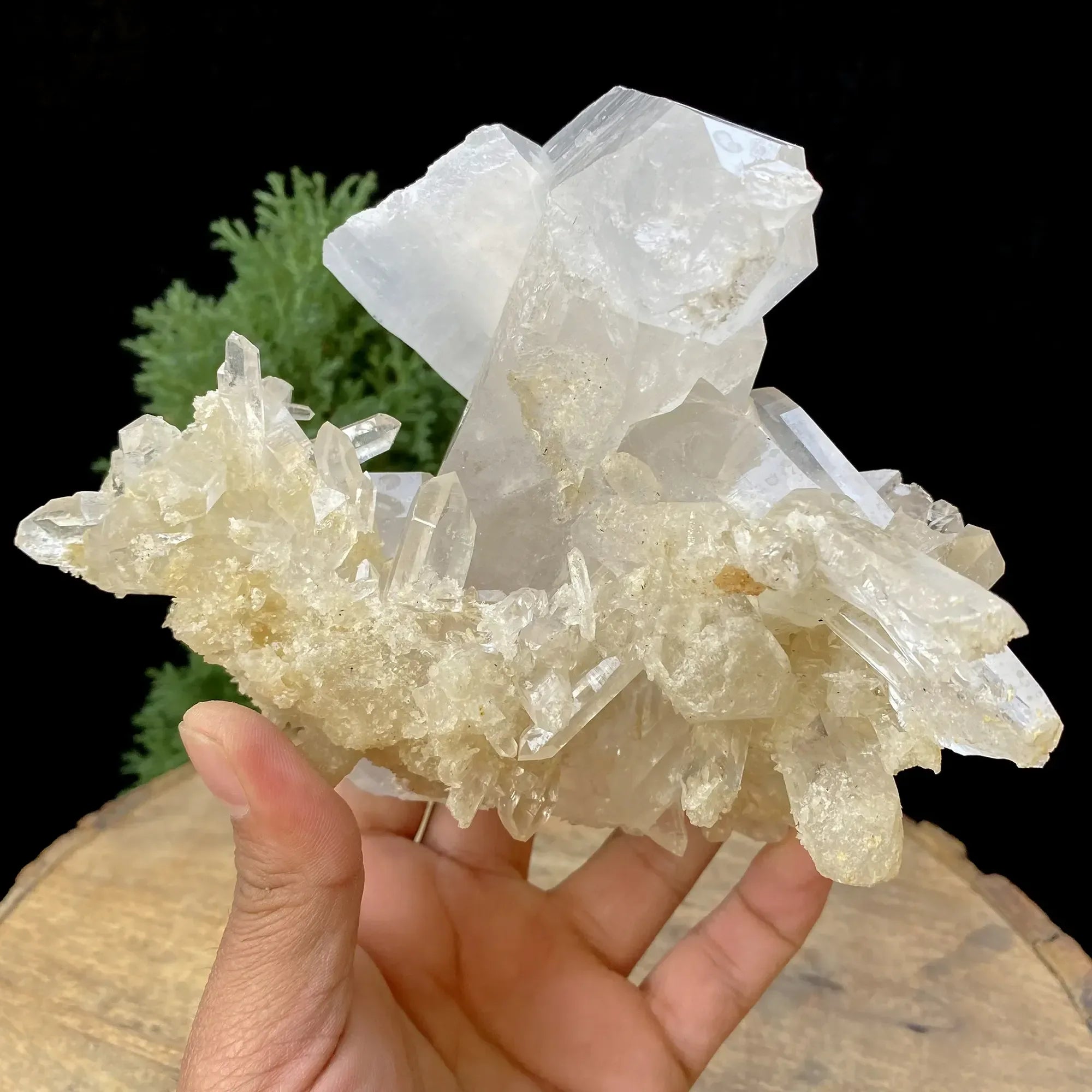 Natural Himalayan White with Yellow Quartz Cluster 1530g Himalayan Quartz