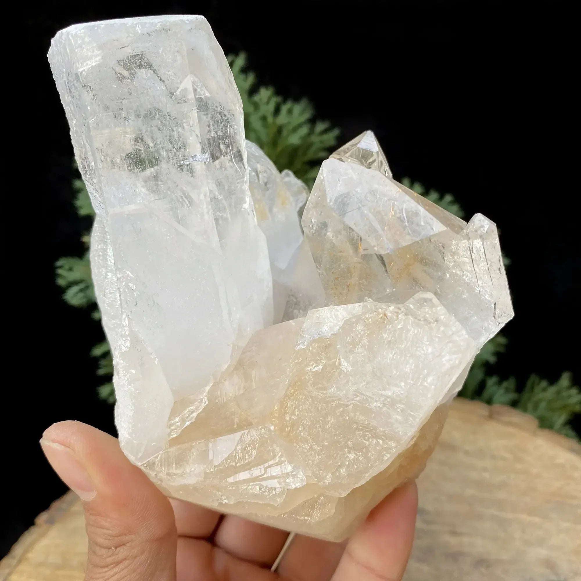 Natural Himalayan White Quartz Cluster 990g Himalayan Quartz