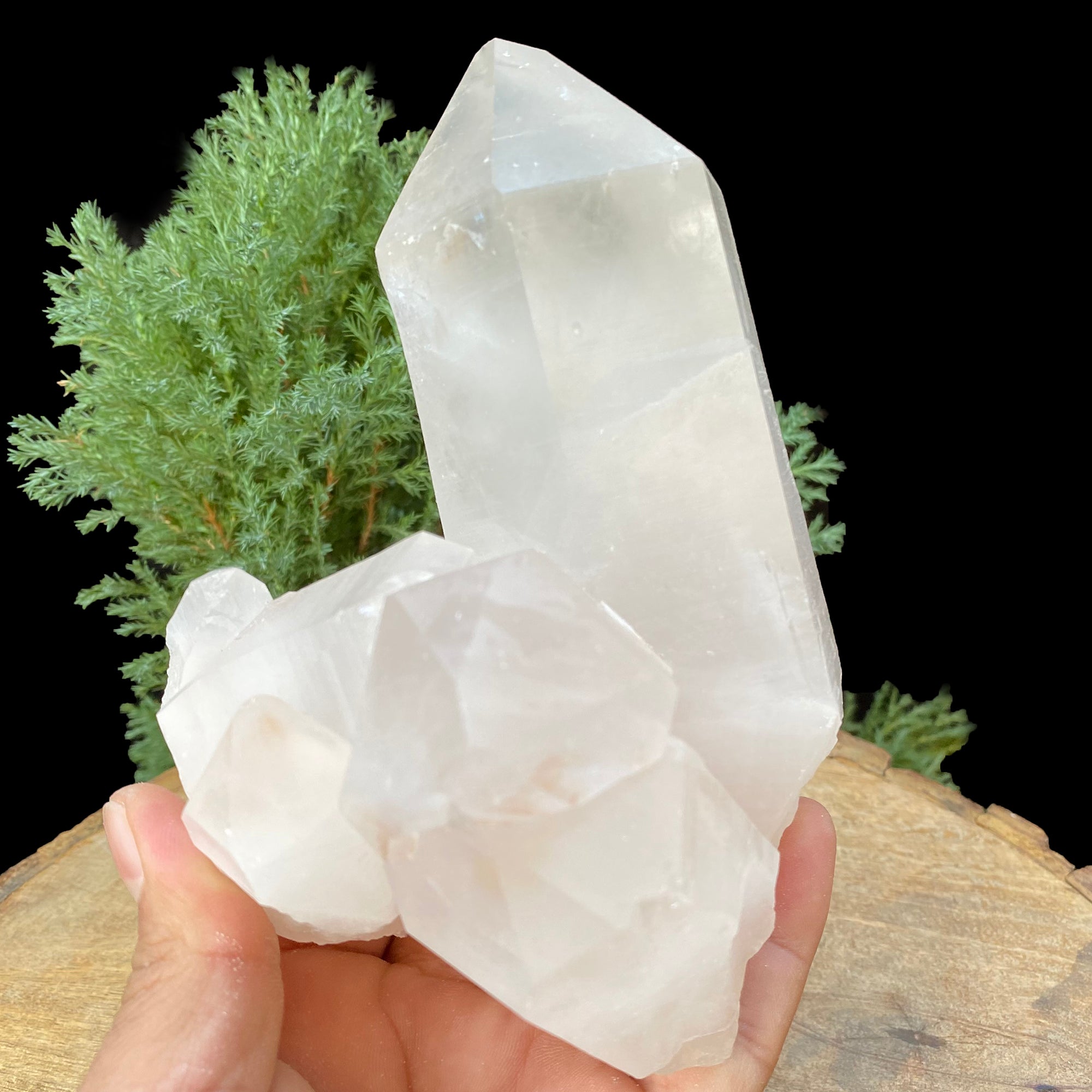 Raw White Himalayan Quartz Natural Cluster Display Mineral Collector