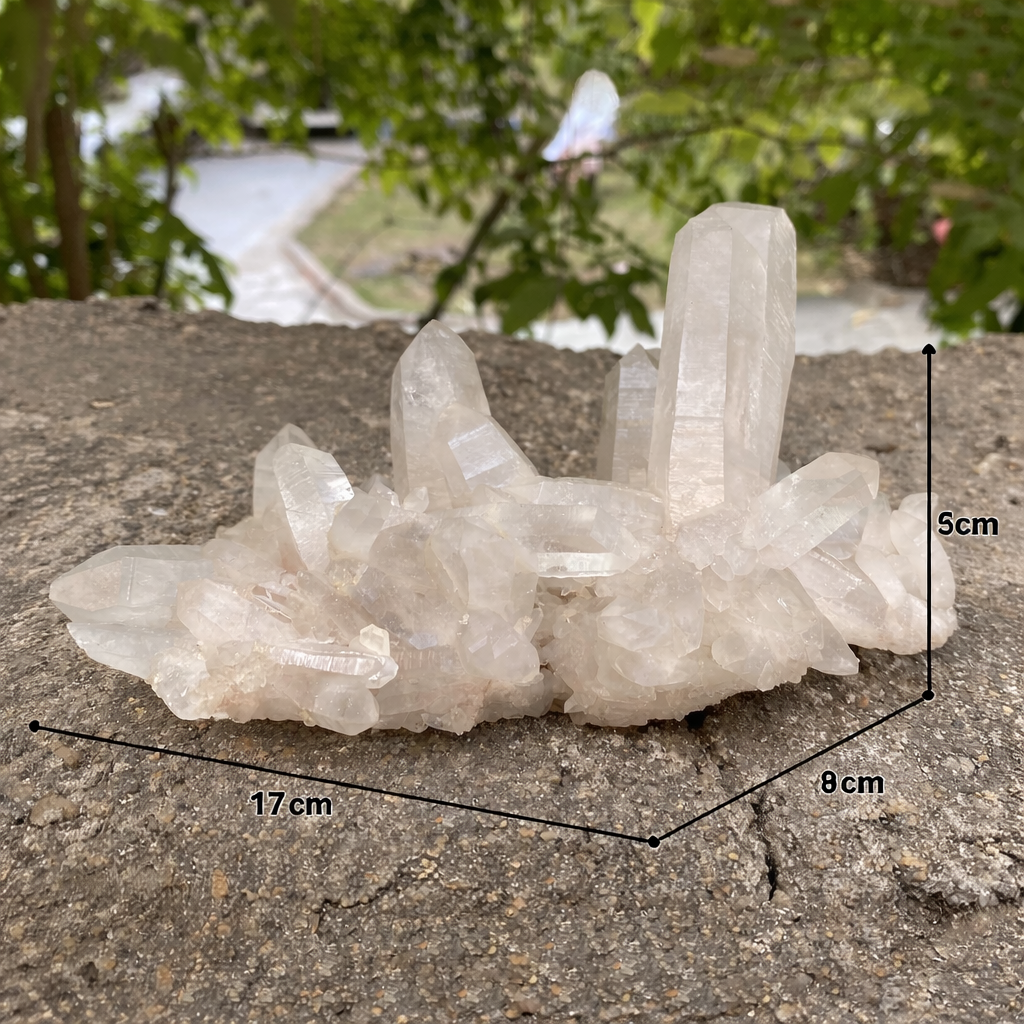 655g White Himalayan Quartz Natural Cluster Raw Display Mineral