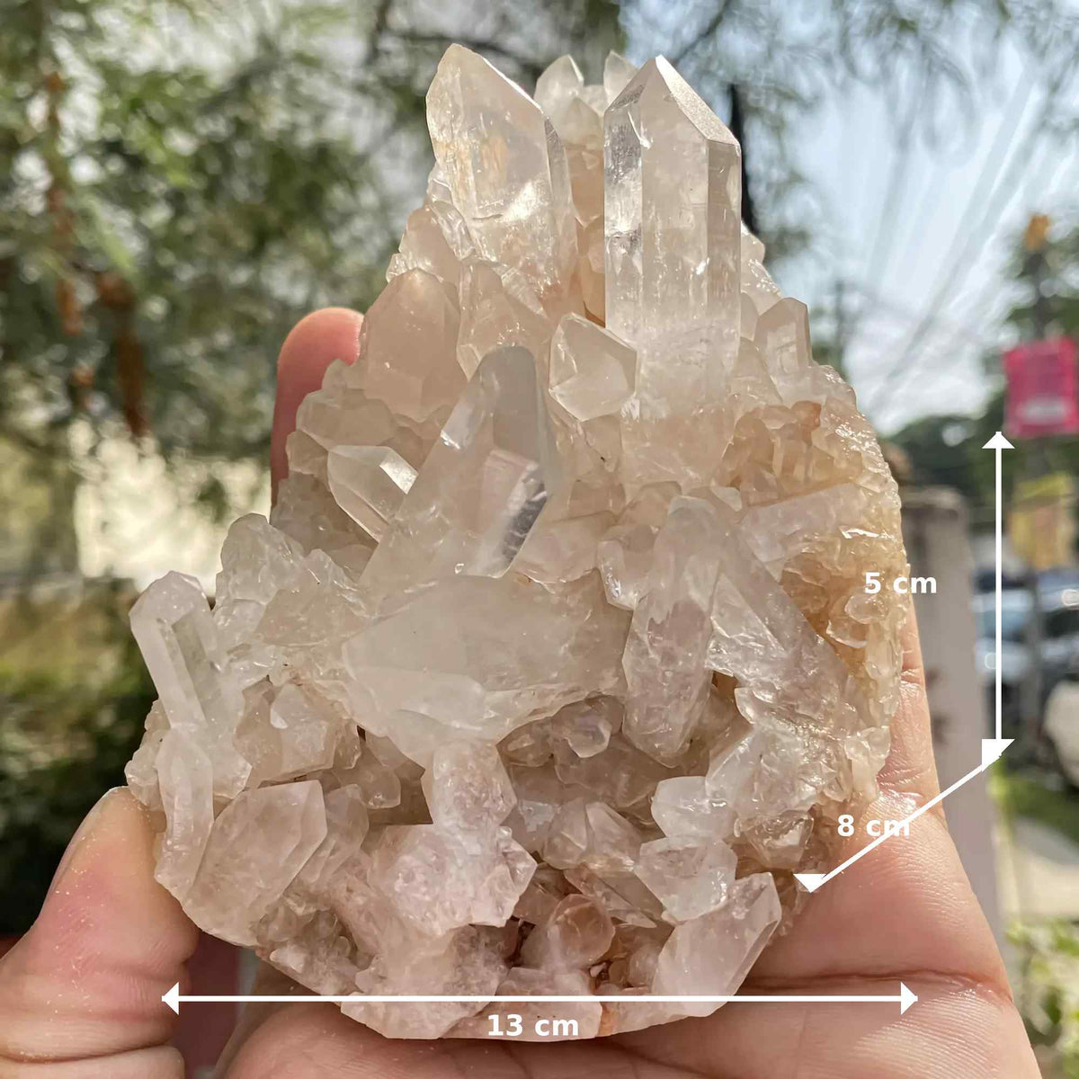 Raw Pink Himalayan Quartz Cluster Display Natural Collector Mineral