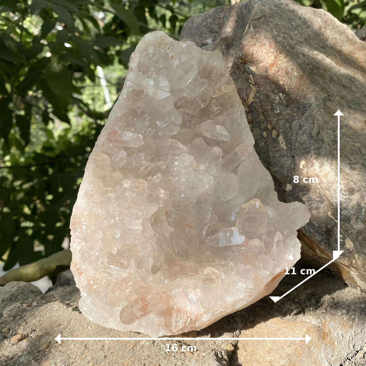 Himalayan Pink Quartz Collector Raw Cluster Natural Display Mineral