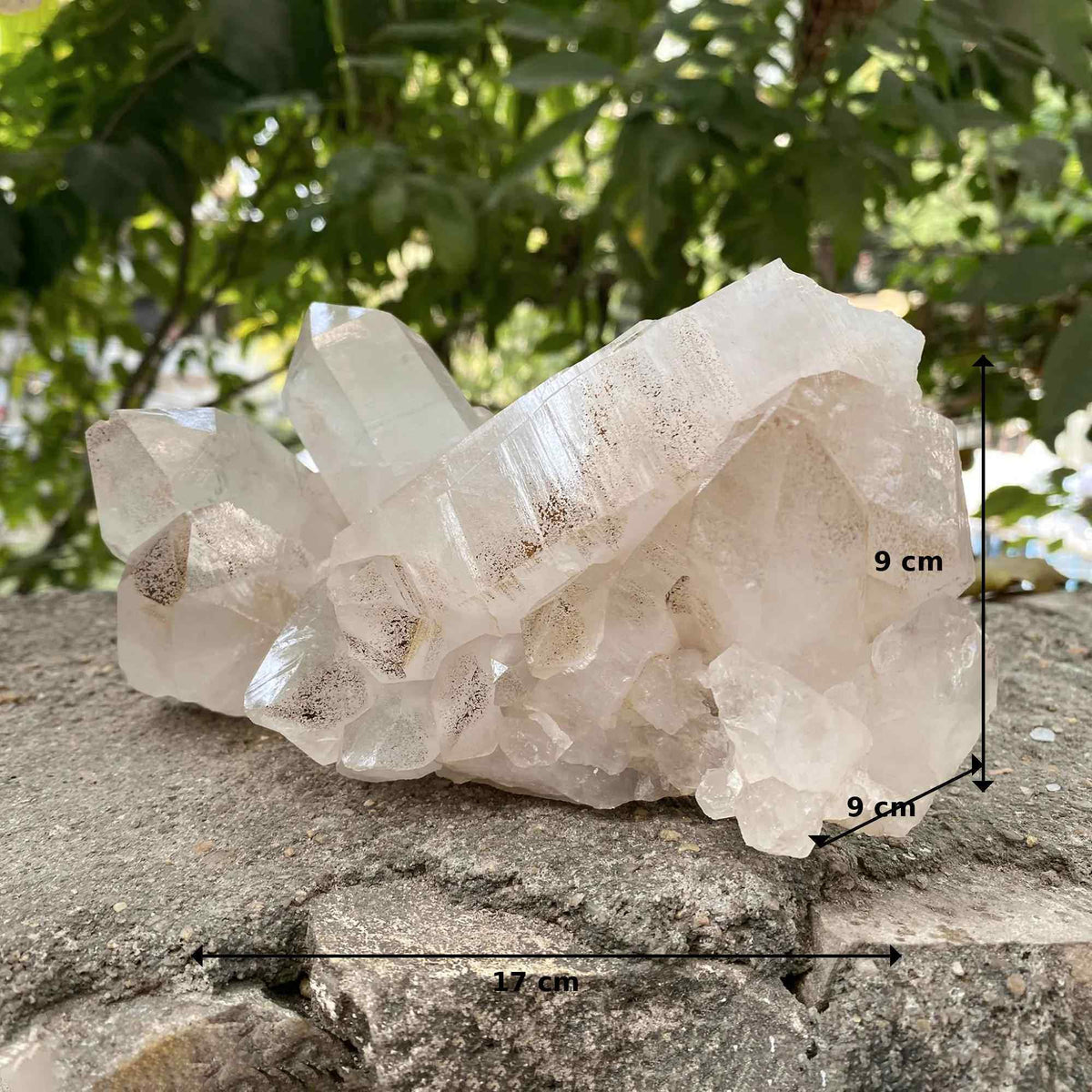 Pink Himalayan Samadhi Quartz Raw Crystal Cluster Healing Display Collector