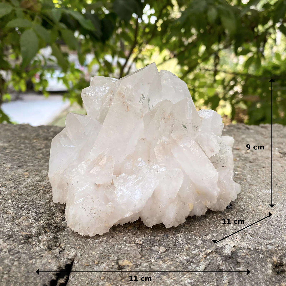 795g White Phantom Himalayan Quartz Natural Cluster Collector Specimen