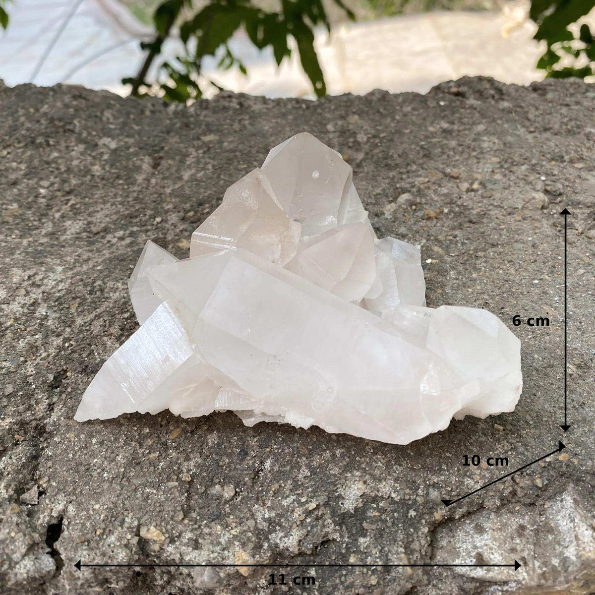 Display Pink Quartz Himalayan Natural Cluster Raw Collector Specimen