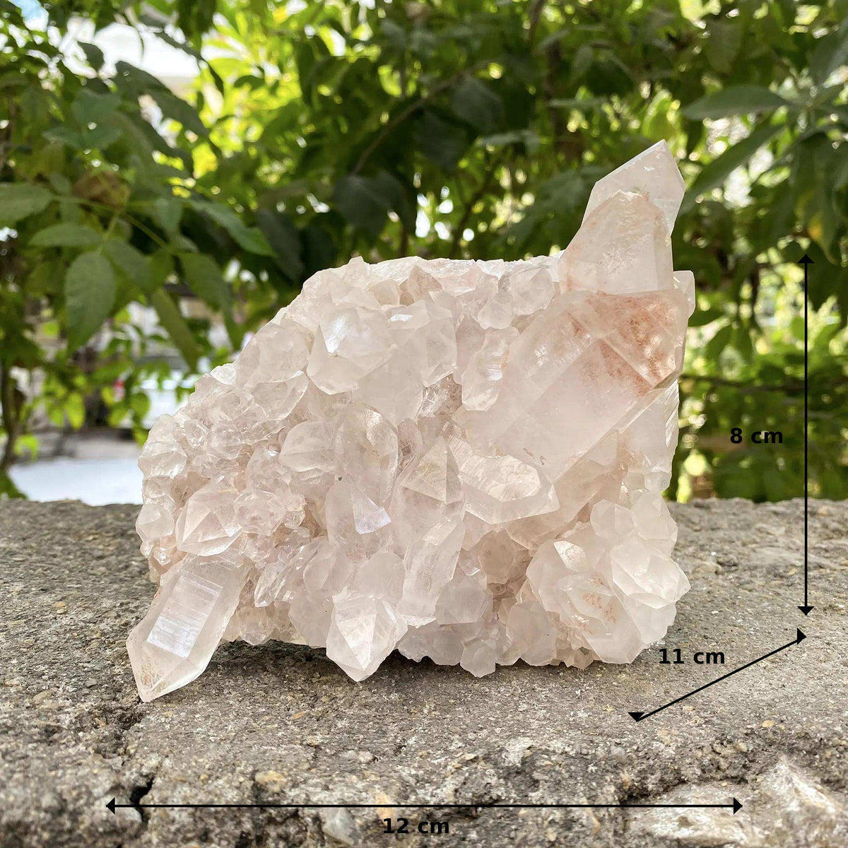 Natural Pink Himalayan Quartz Collector Display Cluster Raw Mineral