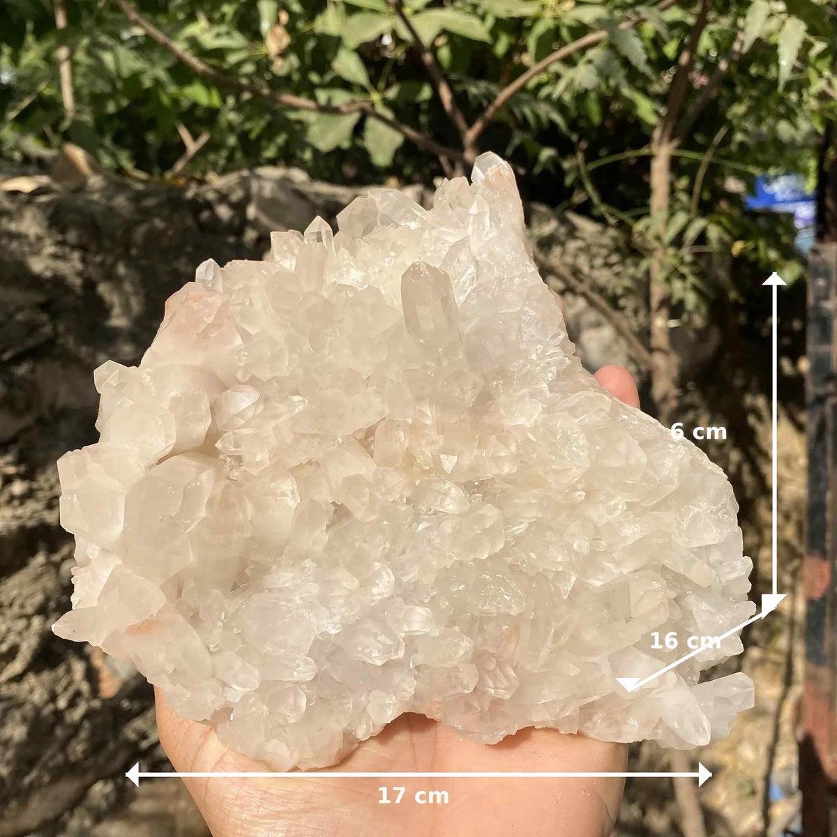 Natural Pink Himalayan Quartz Mineral Cluster Raw Display Collector