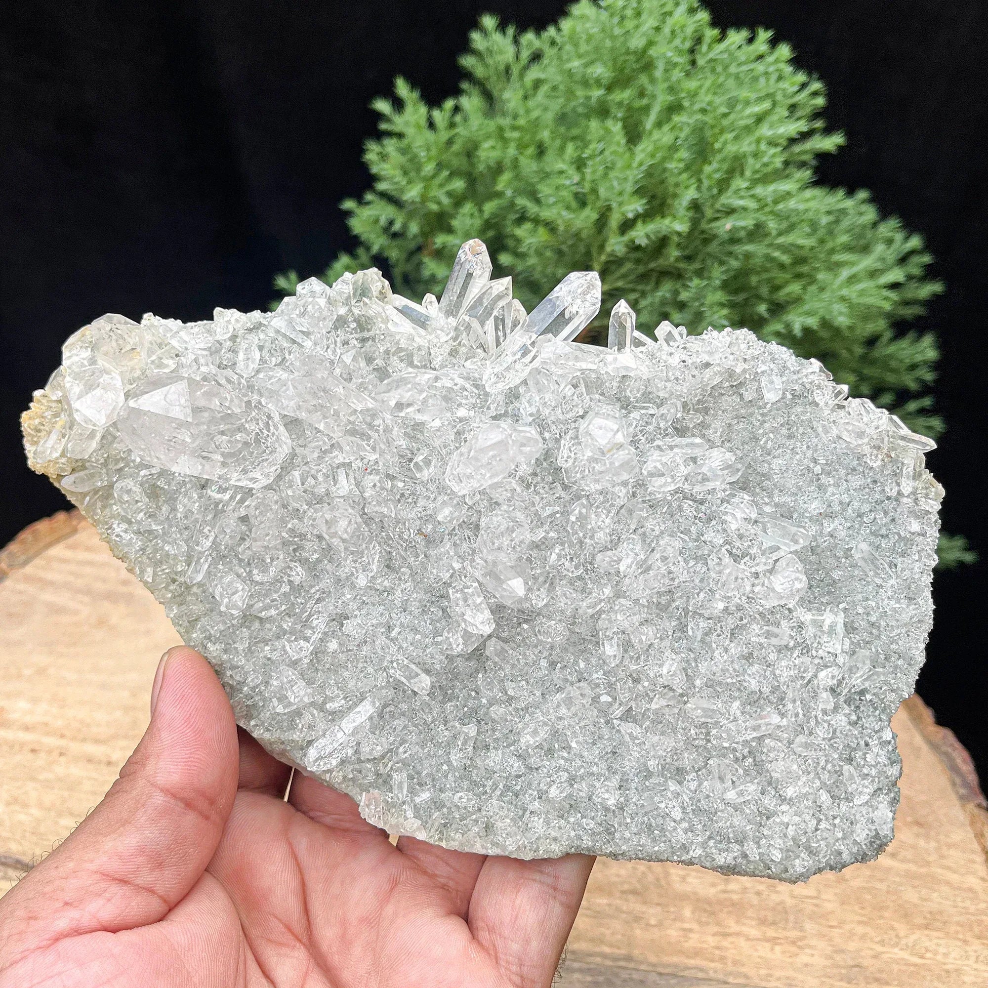 Green Chlorite Quartz Crystal Cluster: Healing Reiki Stone 560gm Himalayan Quartz