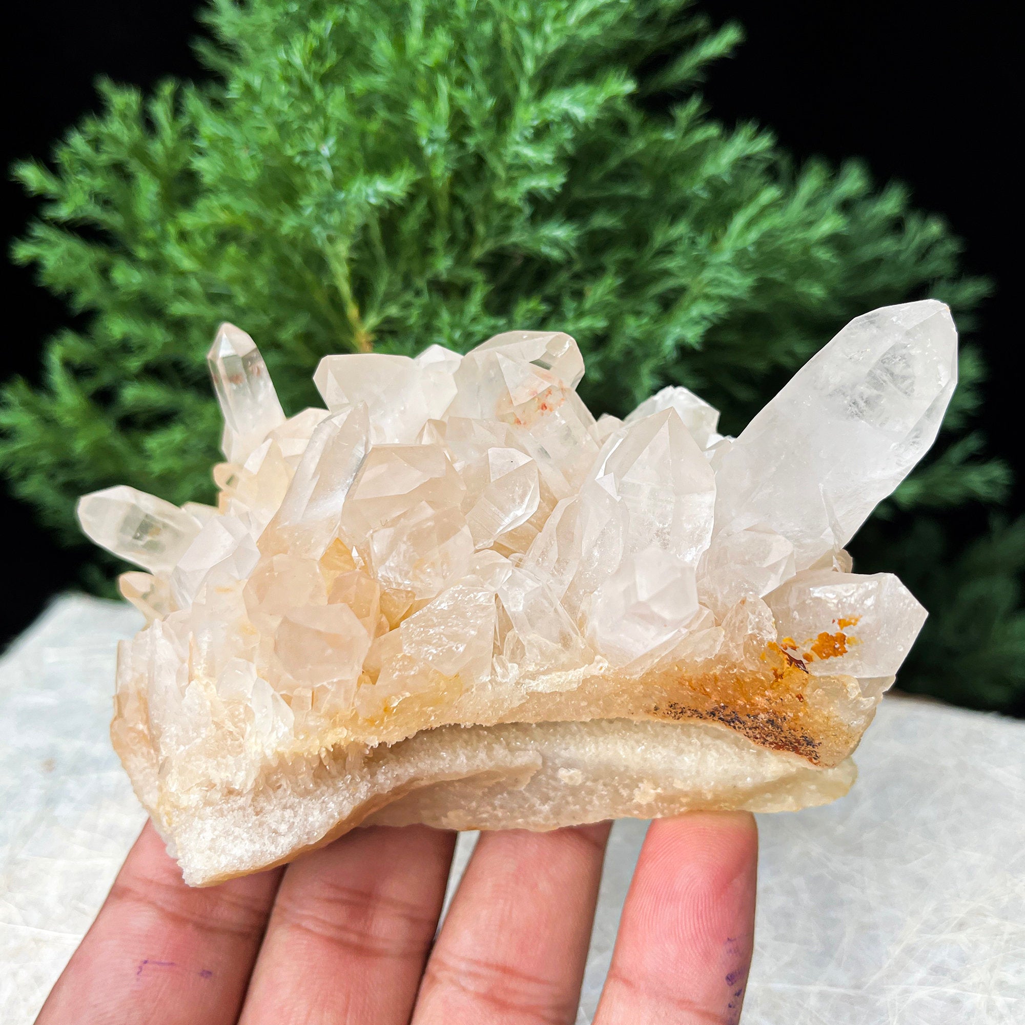 Natural Yellow Quartz Crystal: Himalayan Reiki Healing Rough Stone 280gm