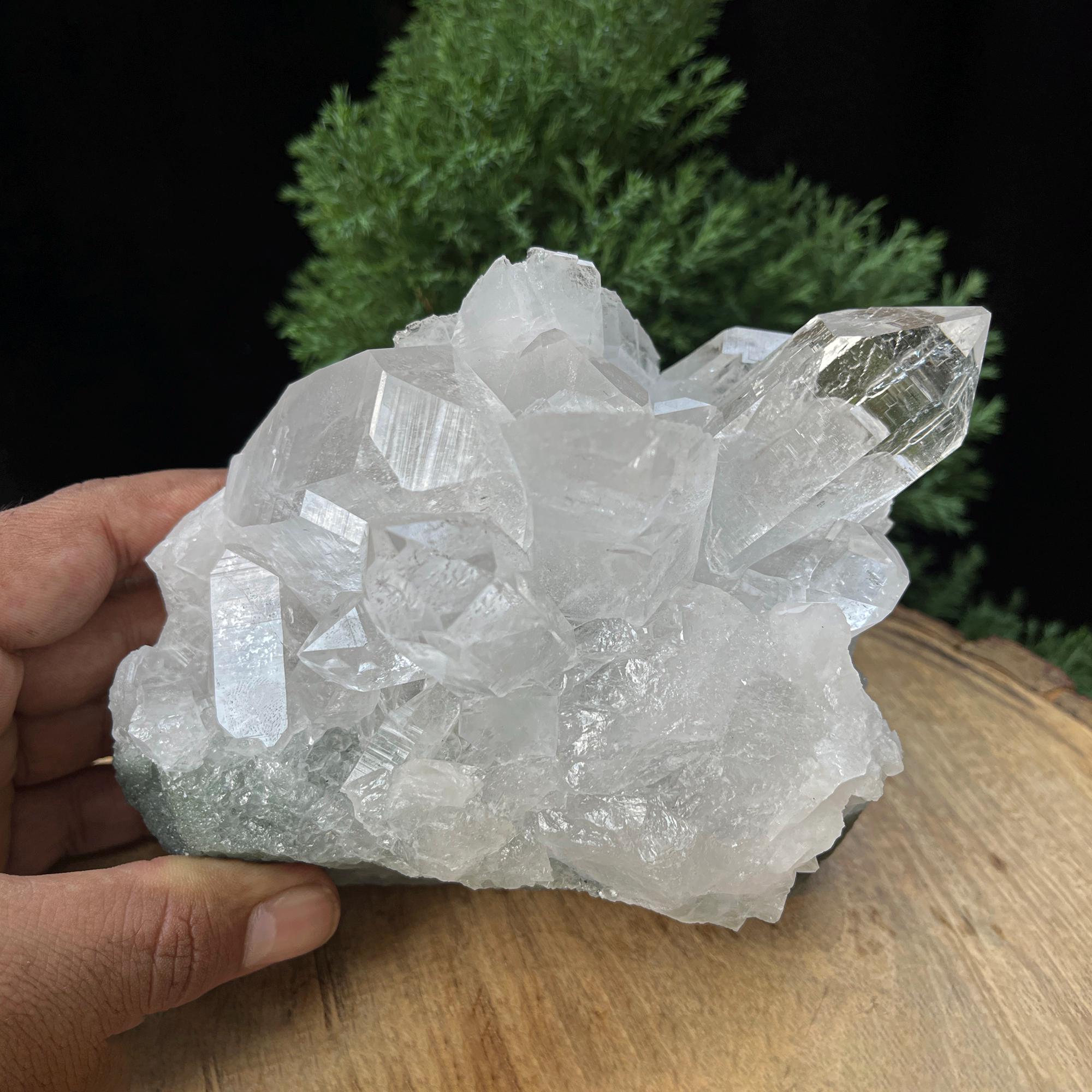Green Chlorite Himalayan Quartz Cluster : Mineral Specimen, Manihar Crystal