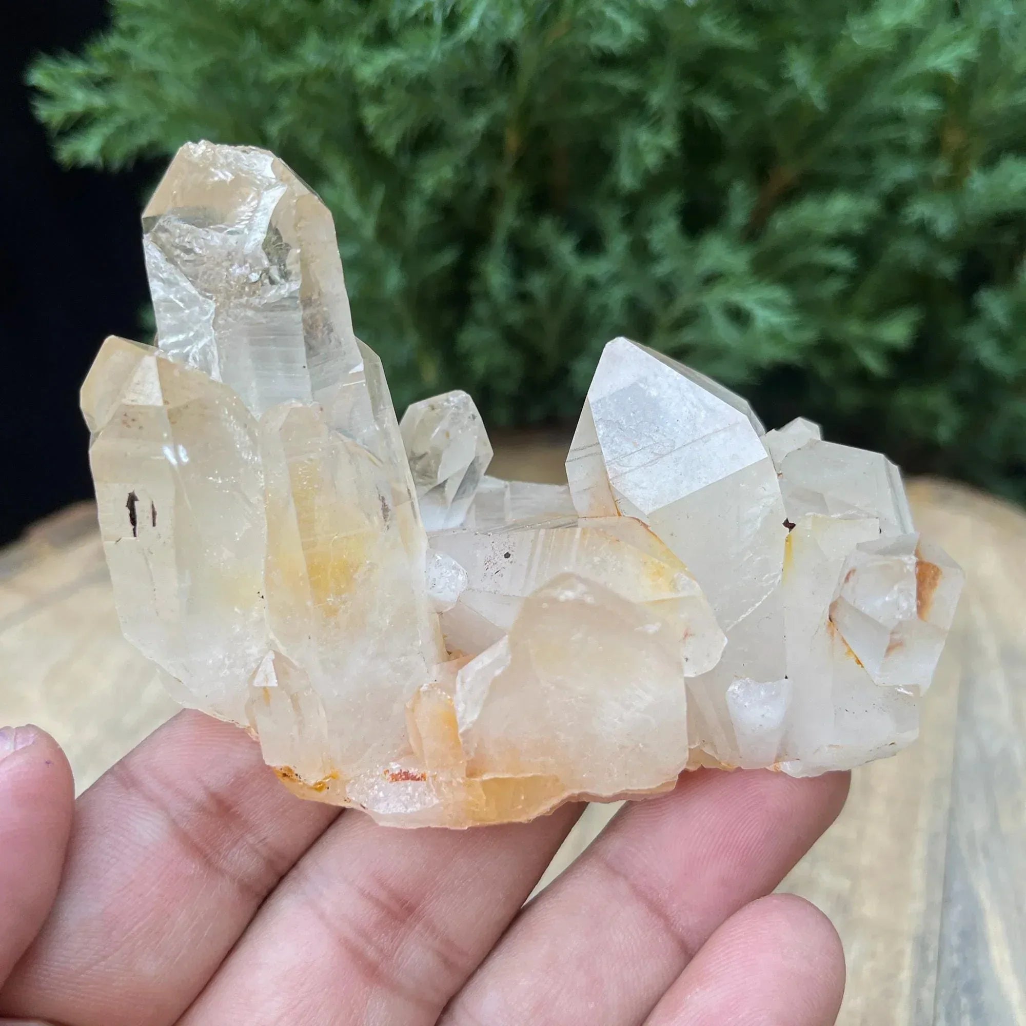 Yellow Samadhi Quartz: Golden Healer Healing Crystal from India 140gm Himalayan Quartz