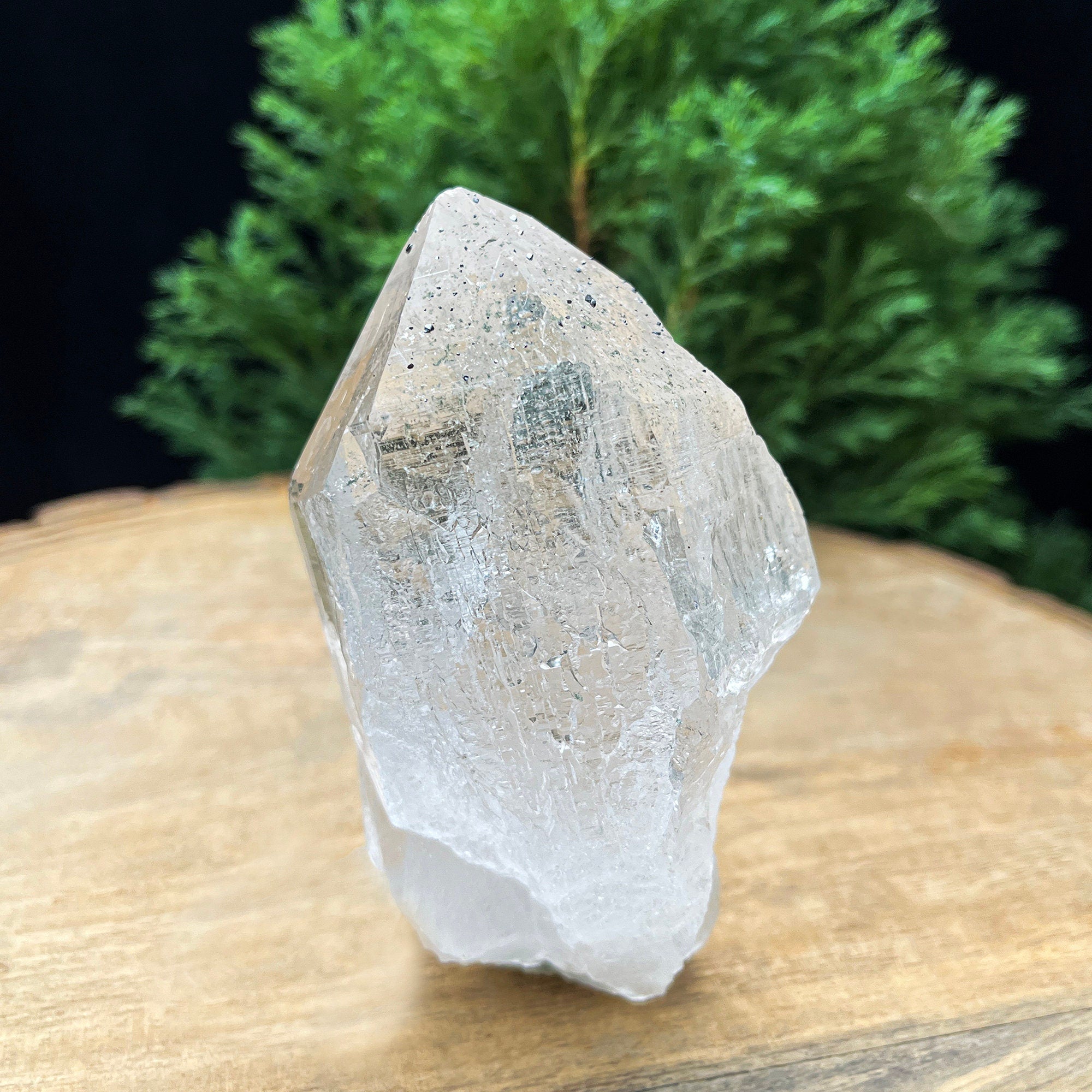 Clear Chlorite Quartz Point: 260gm Red Healer Crystal Self-Standing Rough