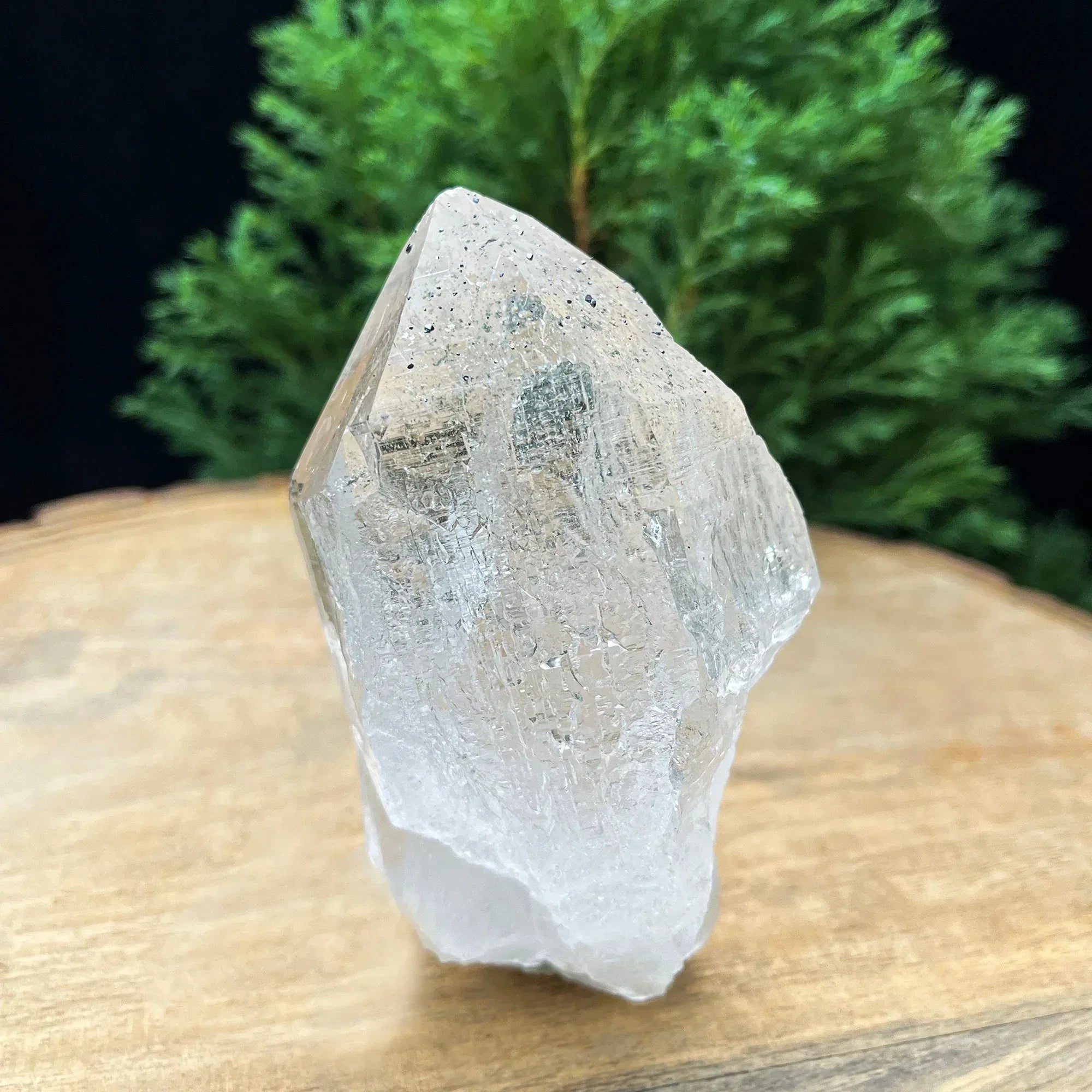 Clear Chlorite Quartz Point: 260gm Red Healer Crystal Self-Standing Rough Himalayan Quartz