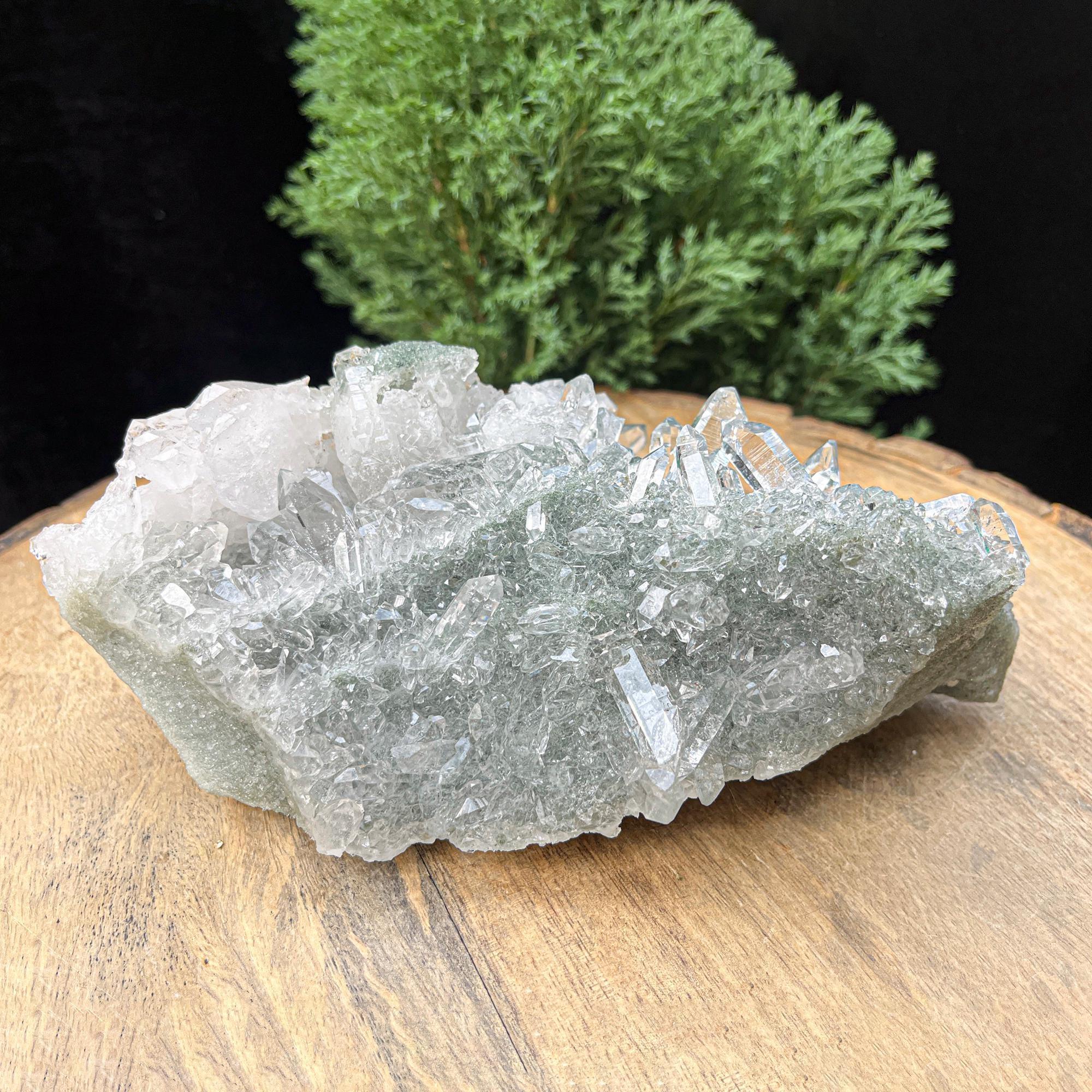 Natural Green Chlorite Quartz Cluster Rough Himalayan Quartz Crystal Specimen from India, Unique Mineral Structure Cluster Himalayan Quartz