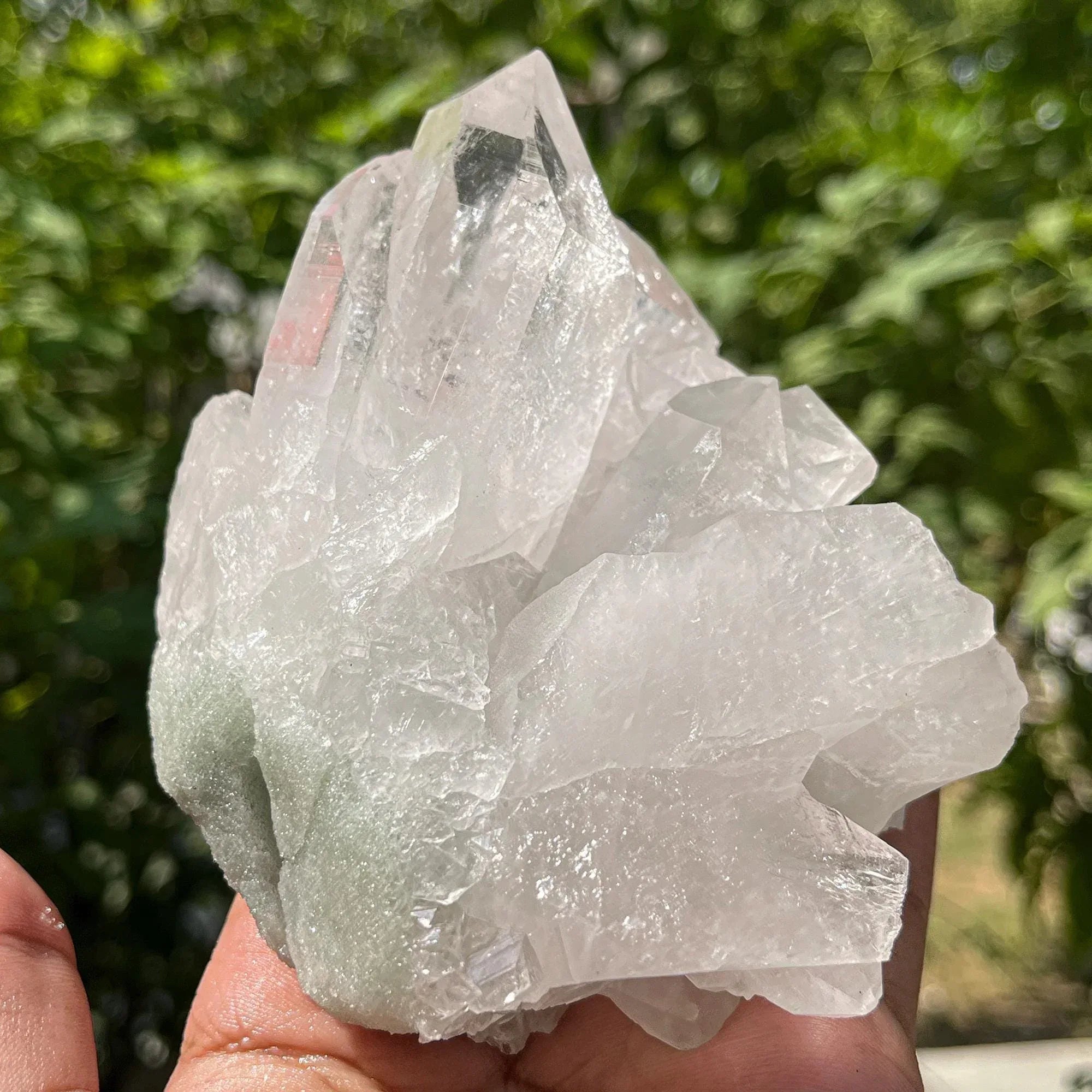 Rare Green Chlorite Quartz Specimen: Himalayan Indicolite, 560gm Himalayan Quartz