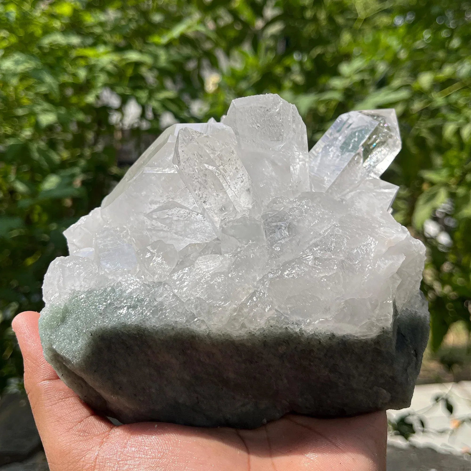 Green Chlorite Himalayan Quartz Cluster : Mineral Specimen, Manihar Crystal Himalayan Quartz