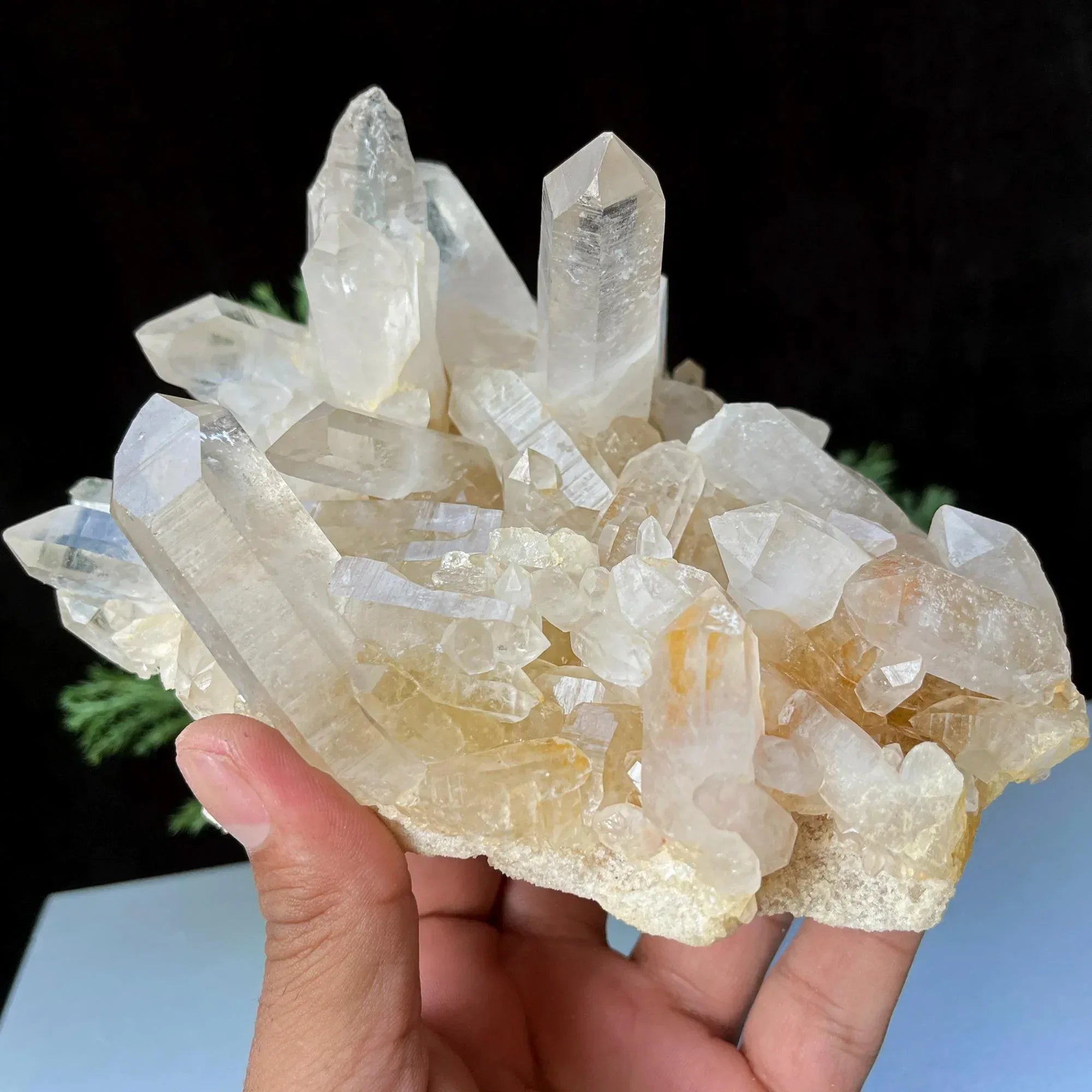 Yellow Samadhi Quartz Cluster: Golden Healer Crystal, 1.285kg Himalayan Quartz