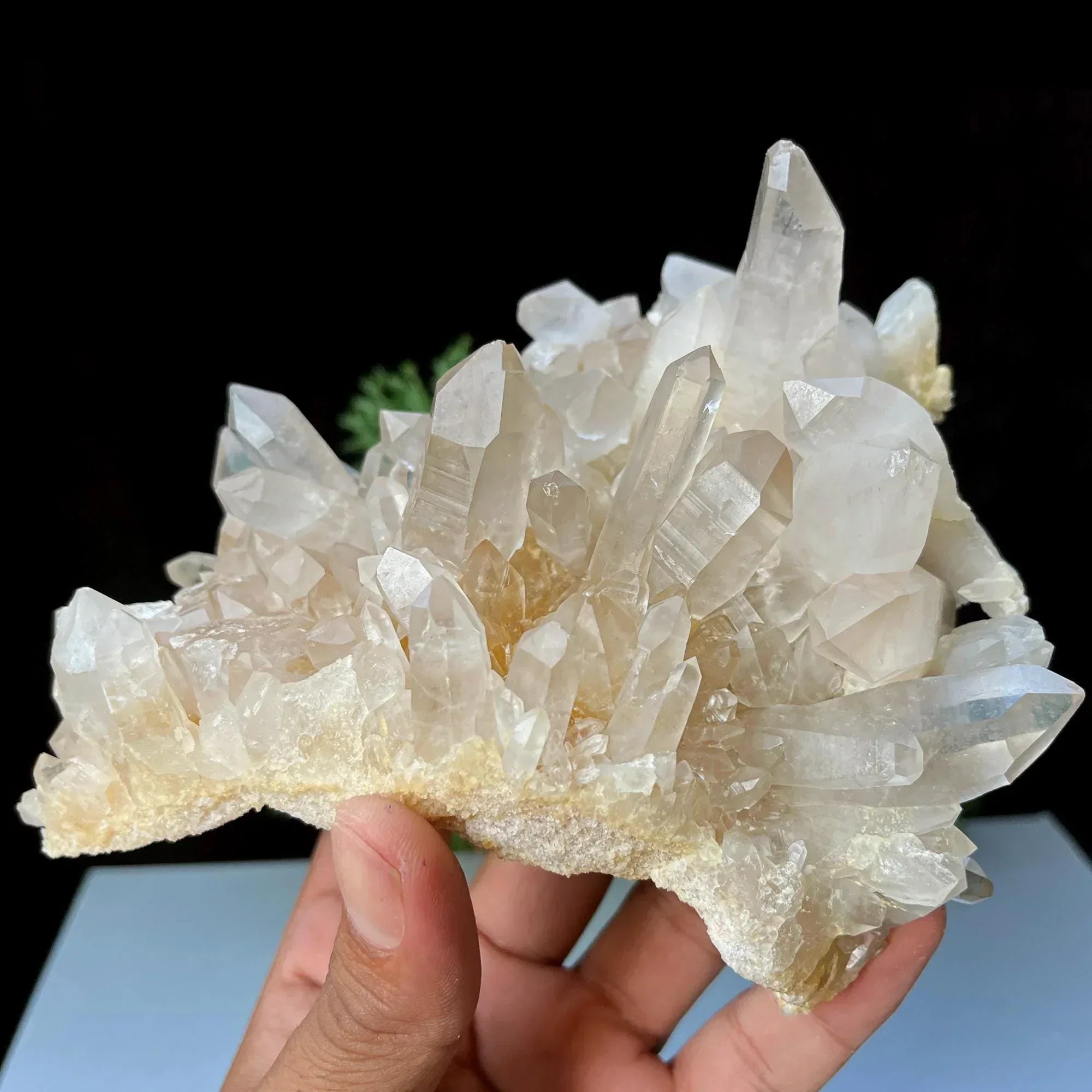 Himalayan Yellow Quartz Cluster: Golden Healer Crystal, Home Decor YLQ 109 Himalayan Quartz