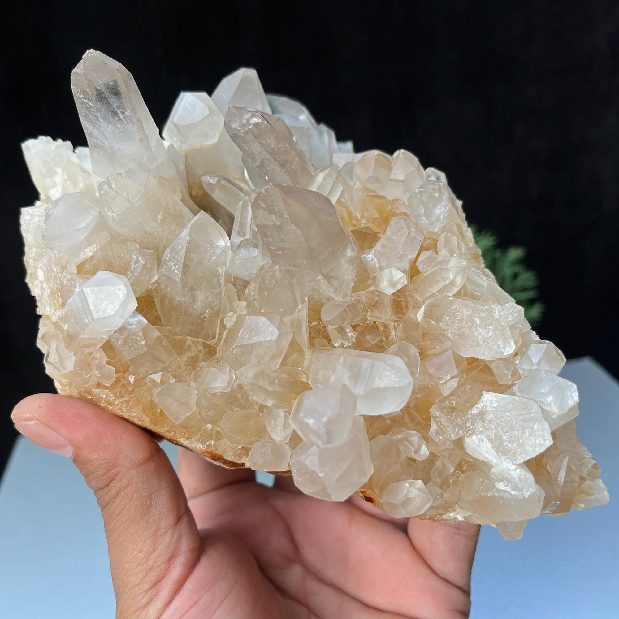Himalayan Yellow Quartz Cluster: Golden Healer Crystal, Home Decor
