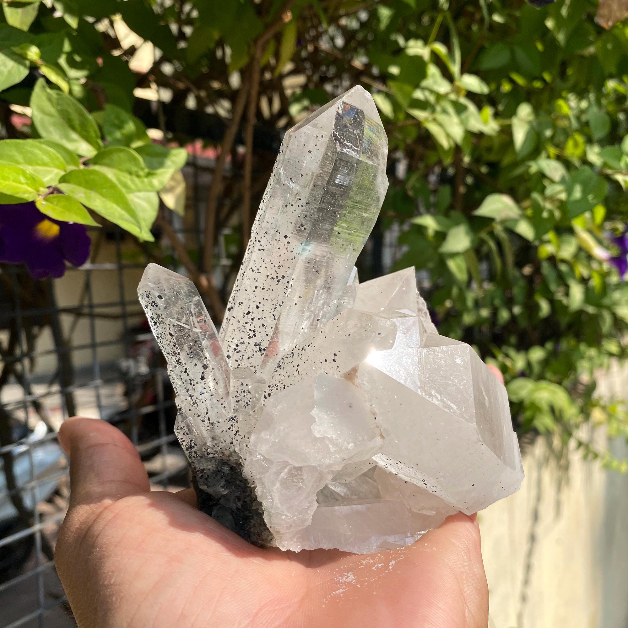 Raw Chlorite Quartz Crystal Point: Natural Anatase Healing Stone 710gm