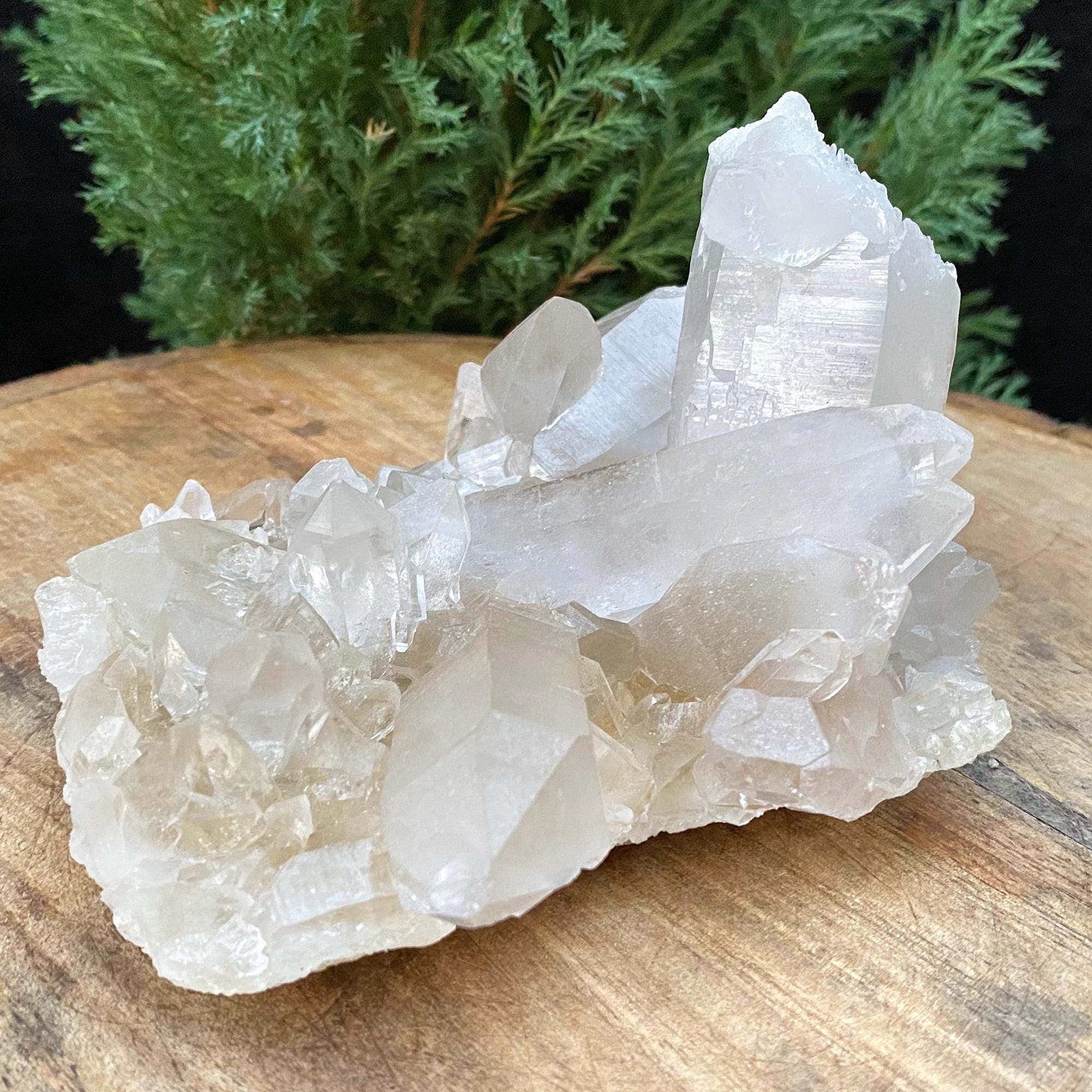 Golden Healer Quartz Cluster: 640gm Manikaran Healing Crystal