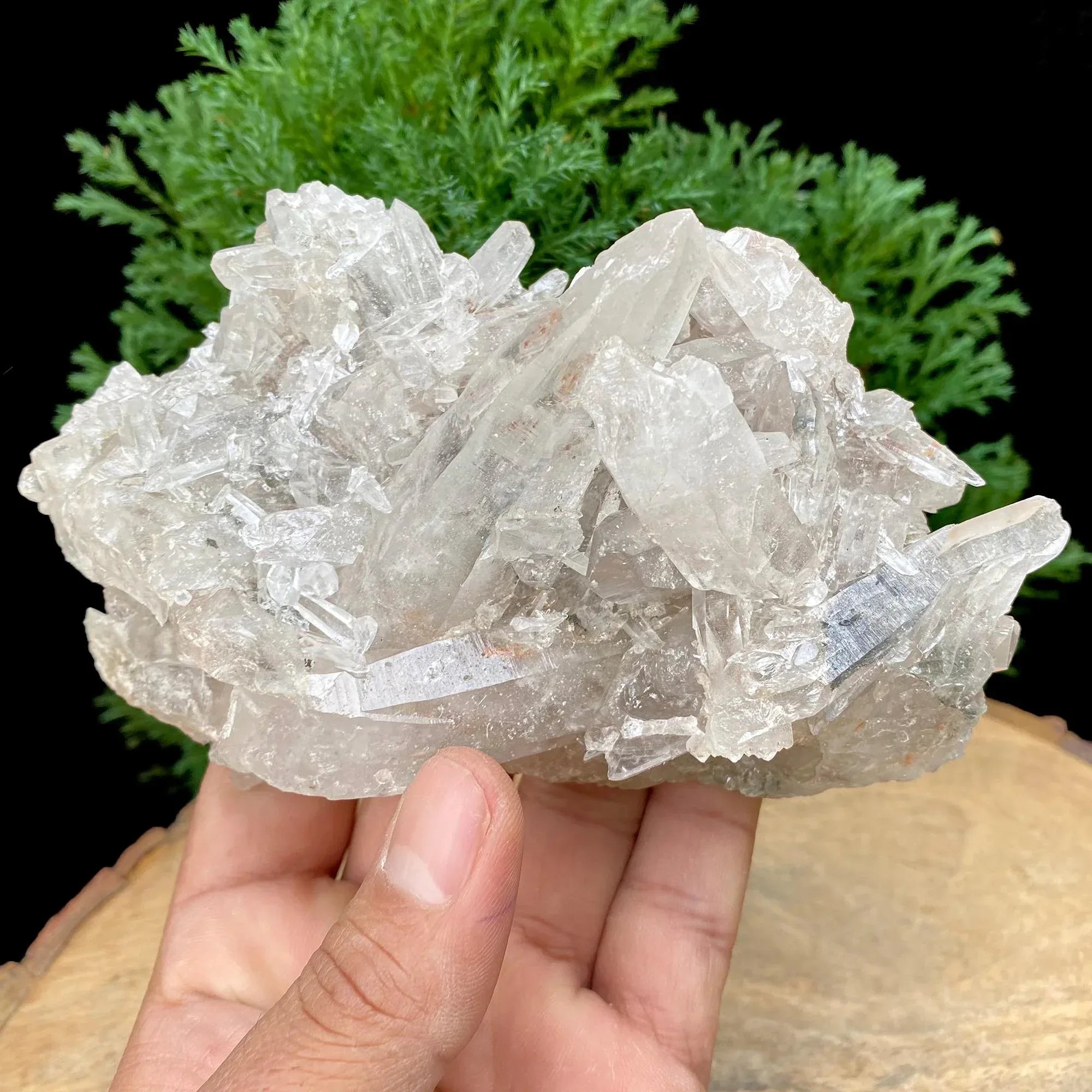 Black Tourmaline Quartz Crystal, Kullu Valley India, 455gm Rough Himalayan Quartz