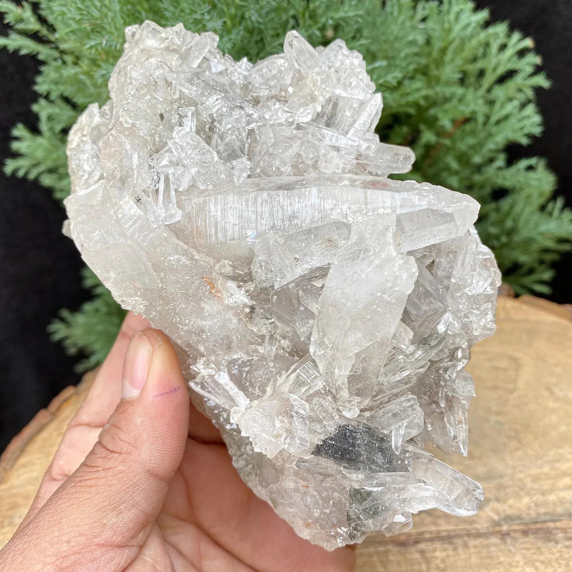 Black Tourmaline Quartz Crystal, Kullu Valley India, 455gm Rough Himalayan Quartz