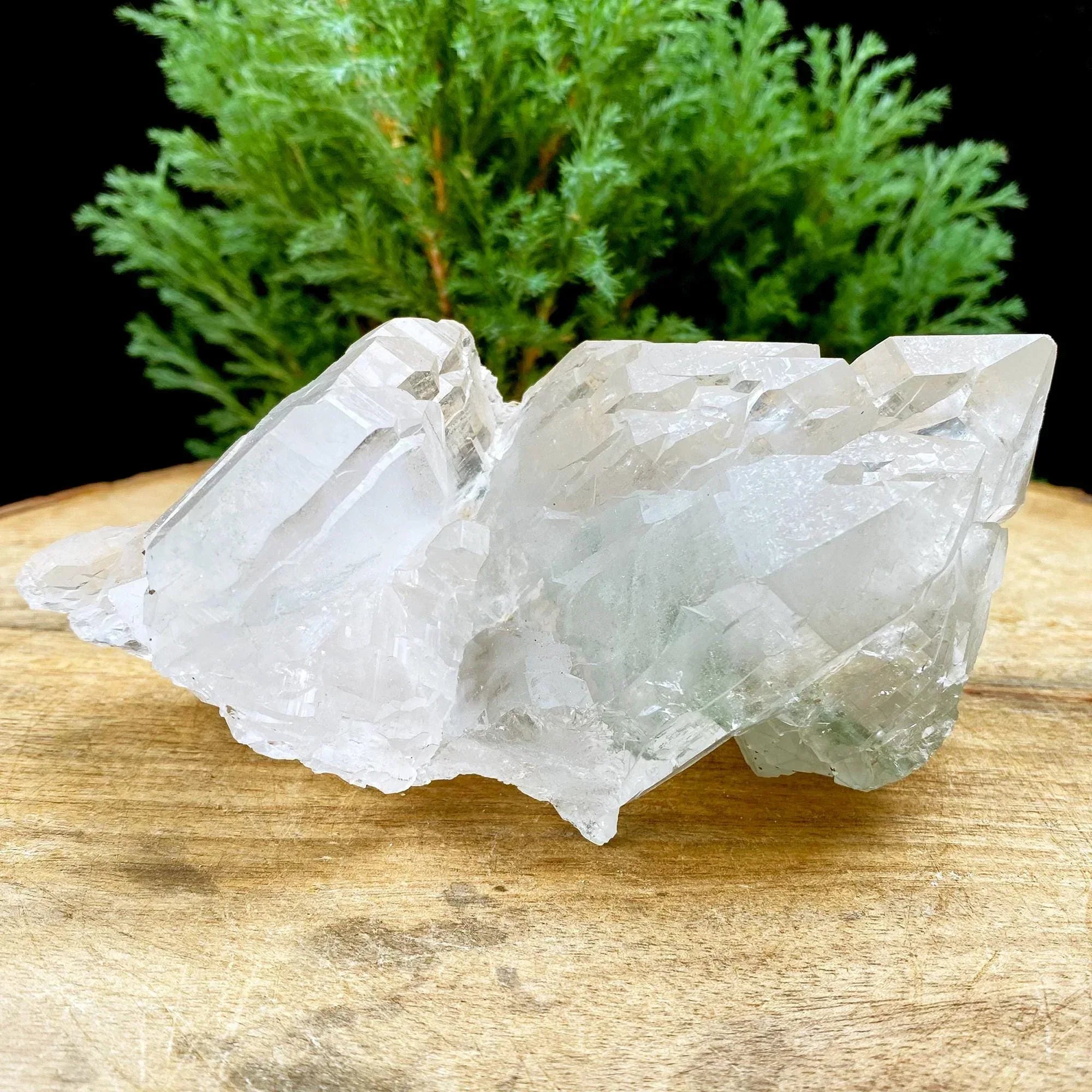 Natural Green Chlorite Quartz Crystal from Manihar Healing Collectors Specimen, 470gm Himalayan Quartz