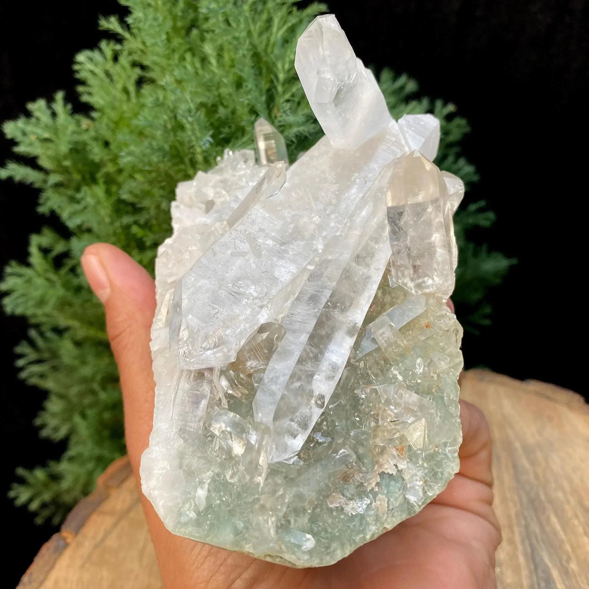 Green Phantom Himalayan Quartz Cluster Crystal Mineral Specimen 595gm Himalayan Quartz