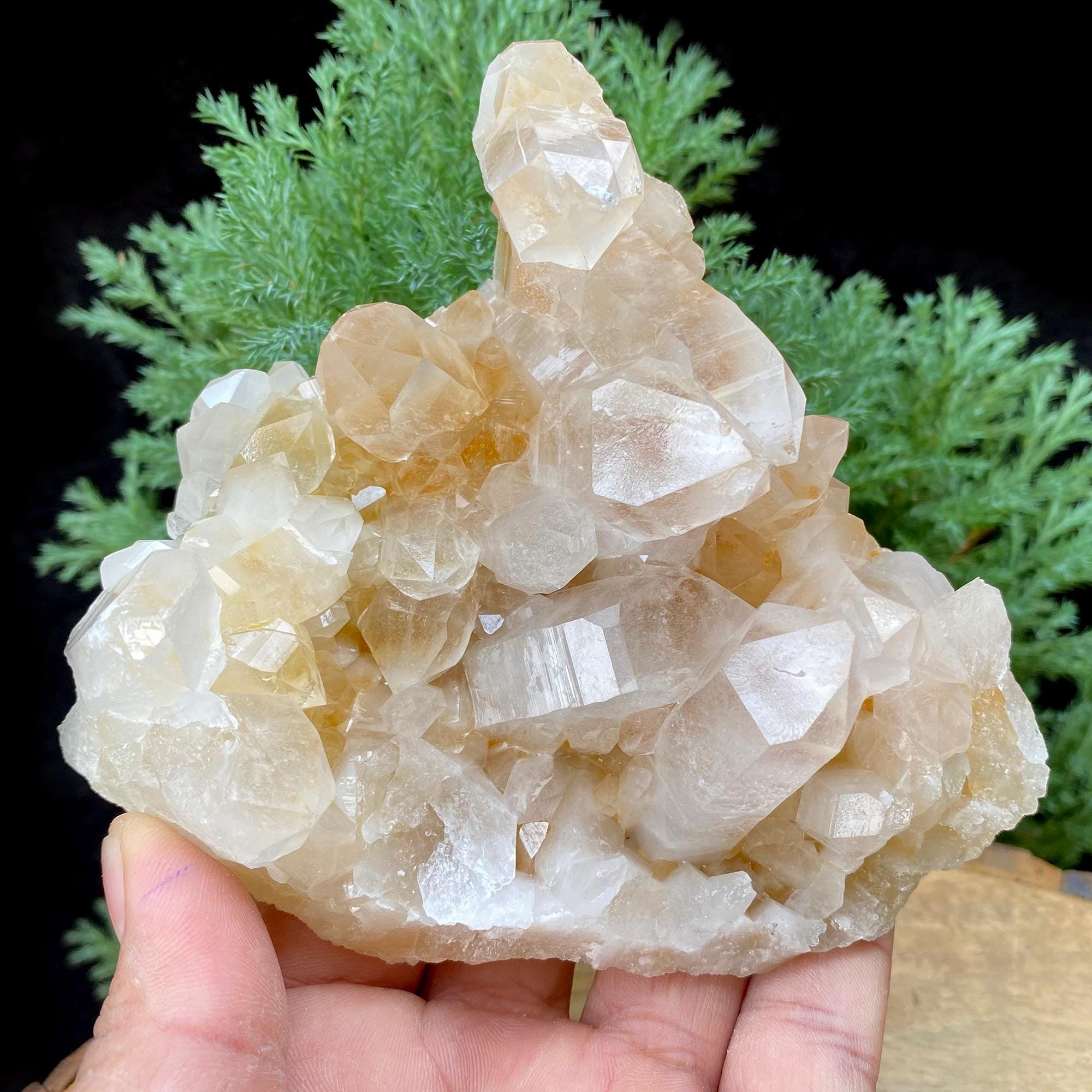 455gm Golden Healer Quartz Crystal: Natural Yellow Samadhi Rough