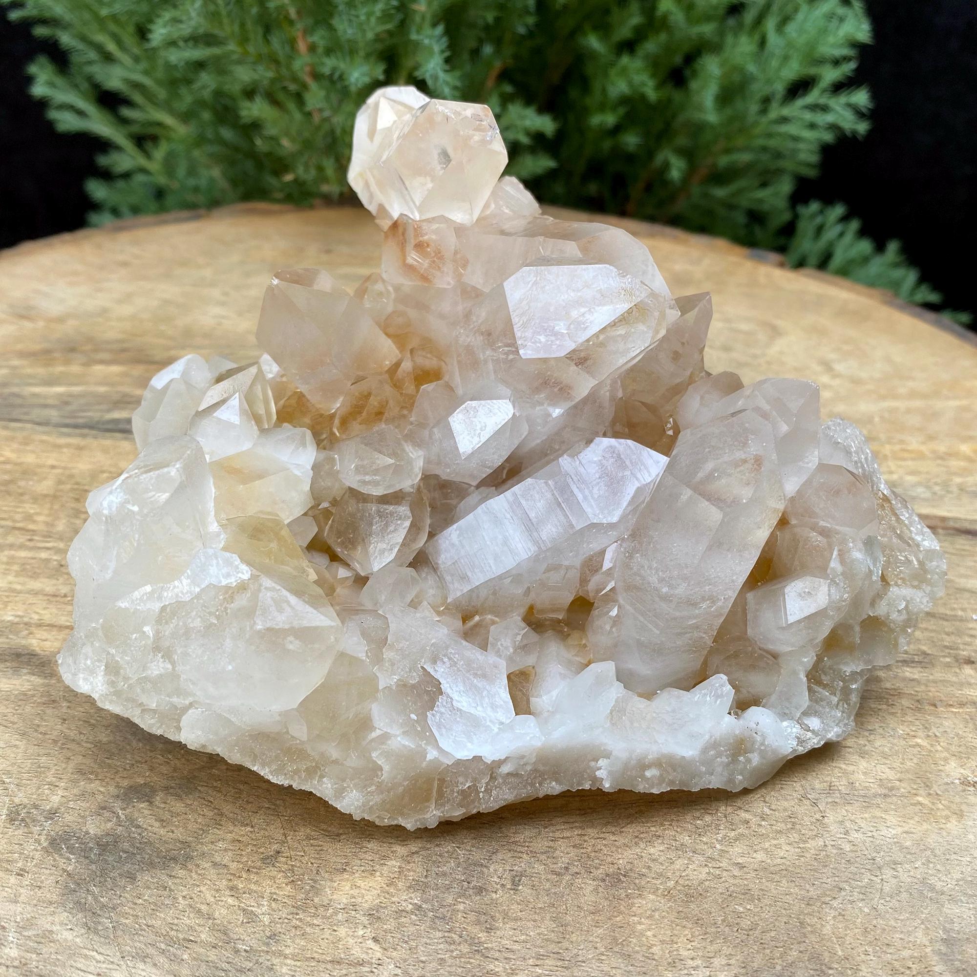 455gm Golden Healer Quartz Crystal: Natural Yellow Samadhi Rough