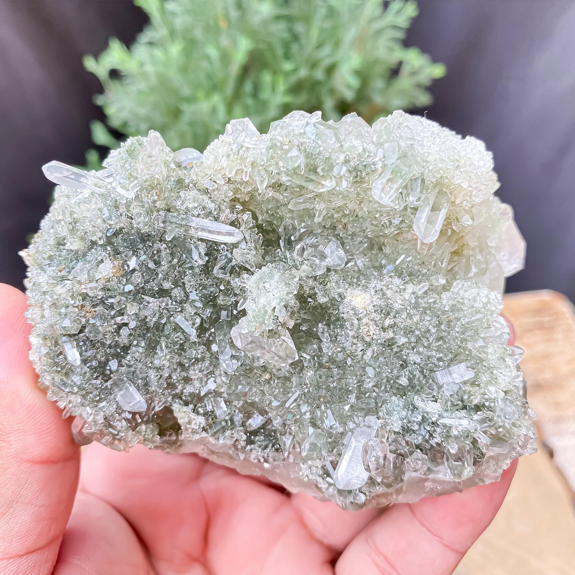 Himalayan Green Chlorite Quartz Cluster: Raw Healing Crystal, Meditation Stone 255gm Himalayan Quartz