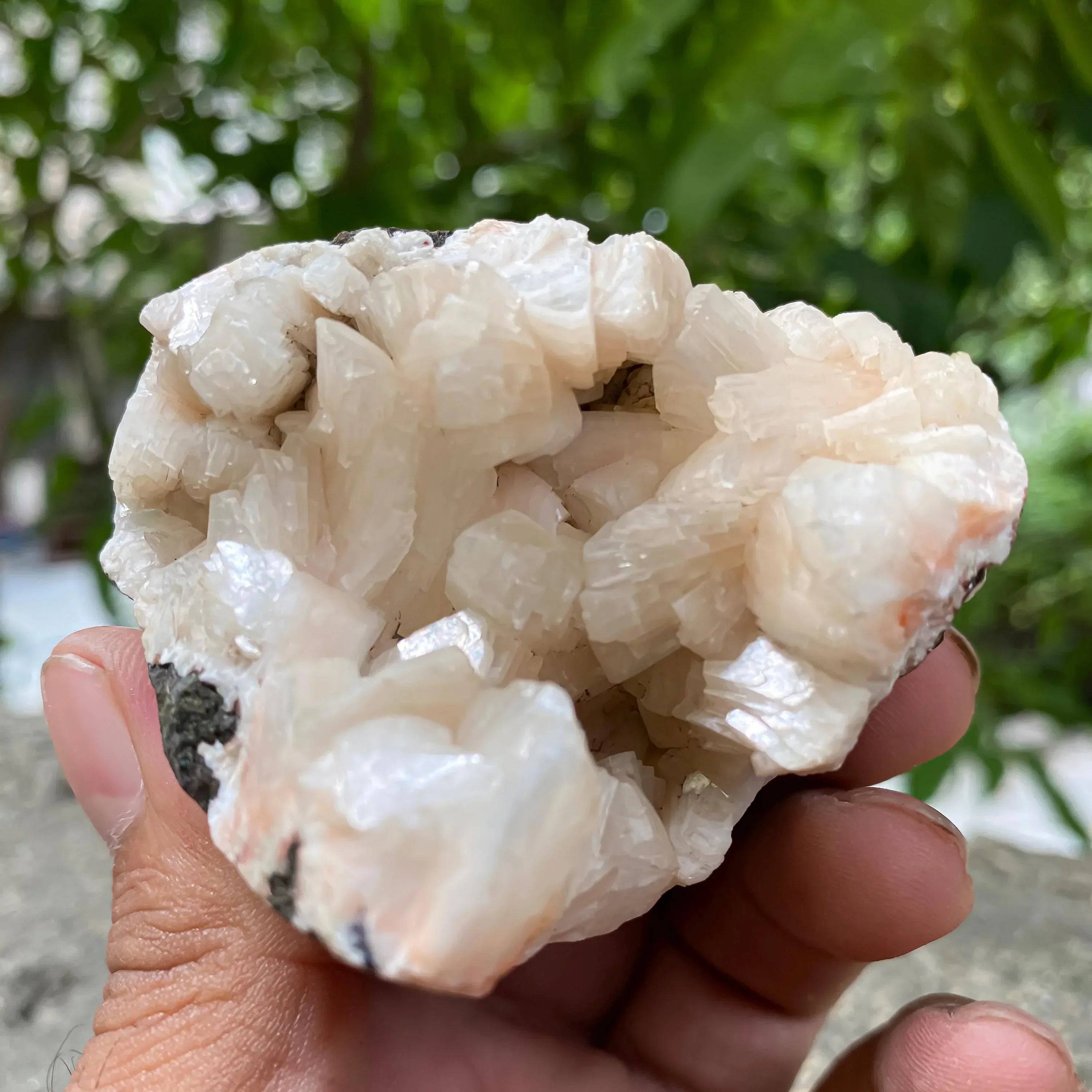 Peach Stilbite Apophyllite Cluster Healing Crystal Geode 155gm Zeolite