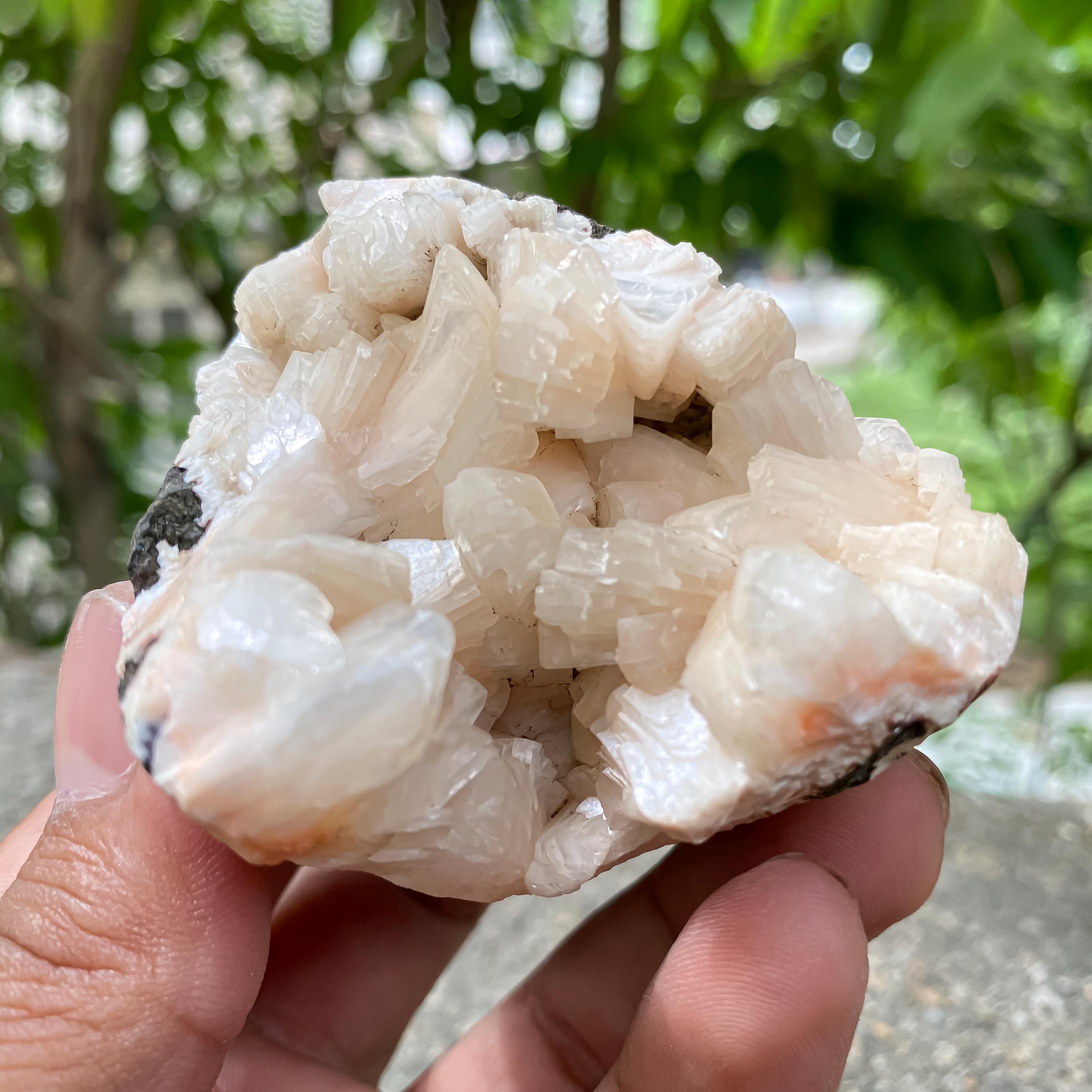 Peach Stilbite Apophyllite Cluster Healing Crystal Geode 155gm